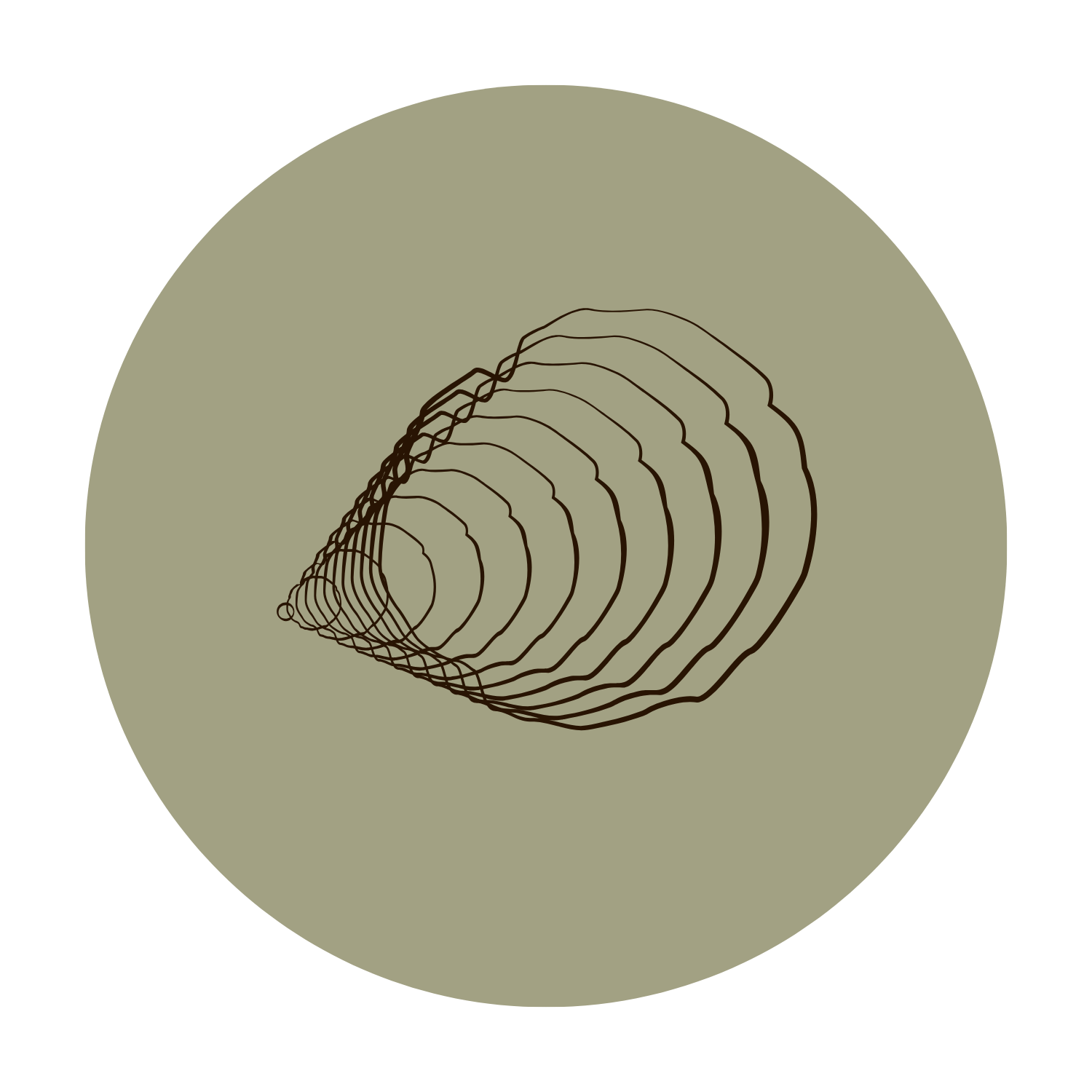 A 3D contour plot of a seashell on a circular beige background.