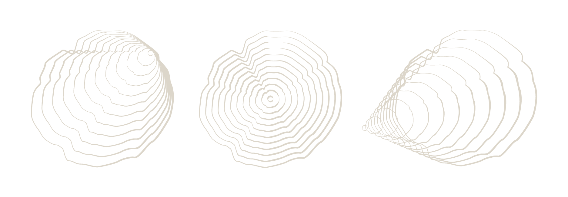 Series of three white contour plots of a seashell on a black background, showing the shape from a side view, a top view, and a cross section.