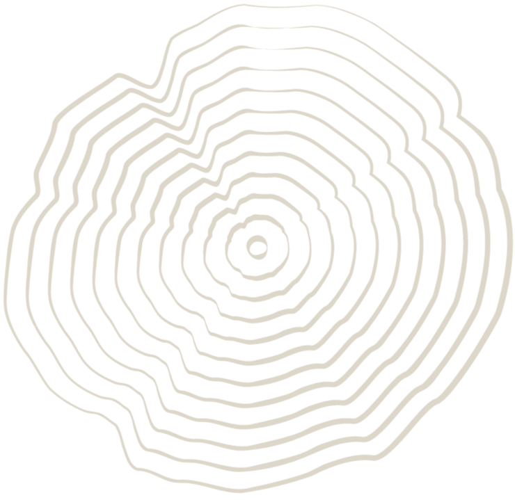 Black background with white contour lines forming a circular, tree ring-like pattern.