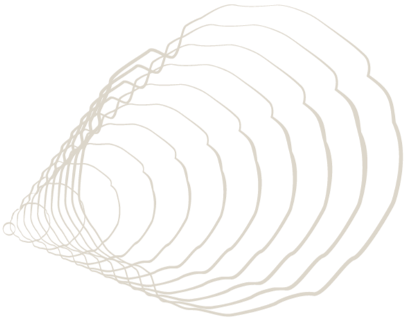 A series of white concentric ovals on a black background, creating a step-like linear pattern.