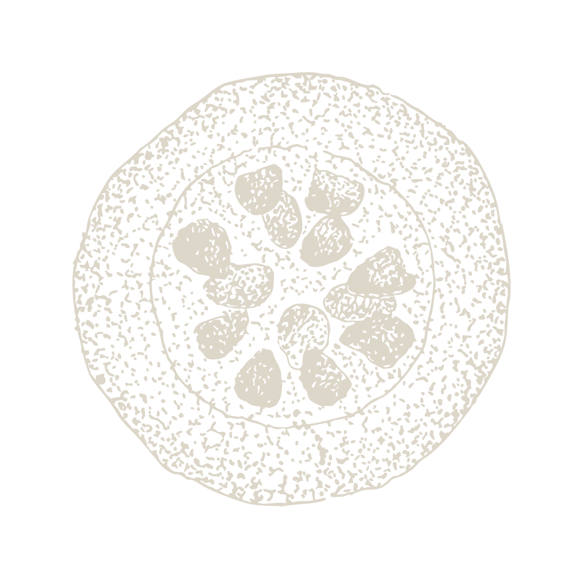 A top-down view of a cell.
