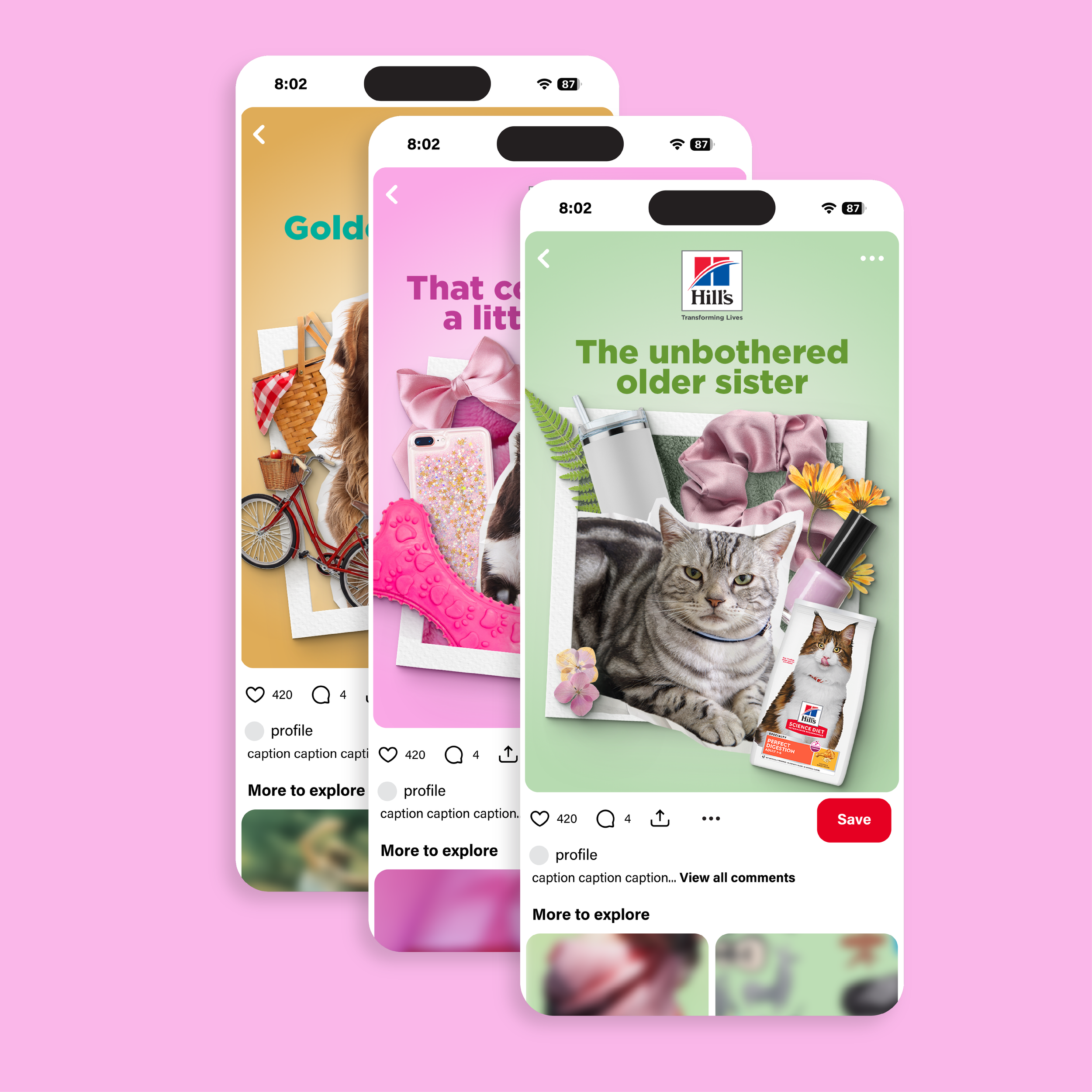 online portfolio projects_ols 1.png