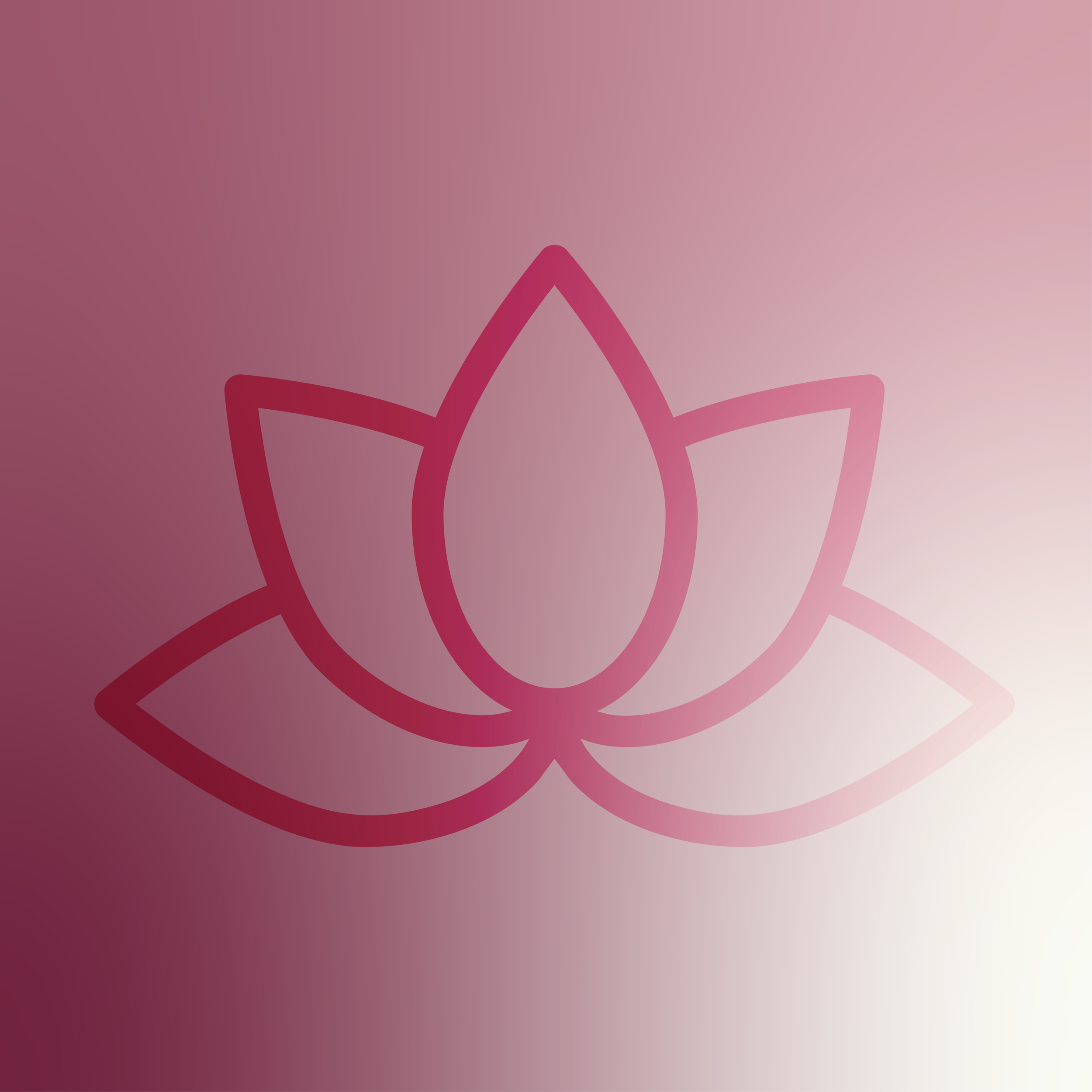 online portfolio projects_anasa-35.png