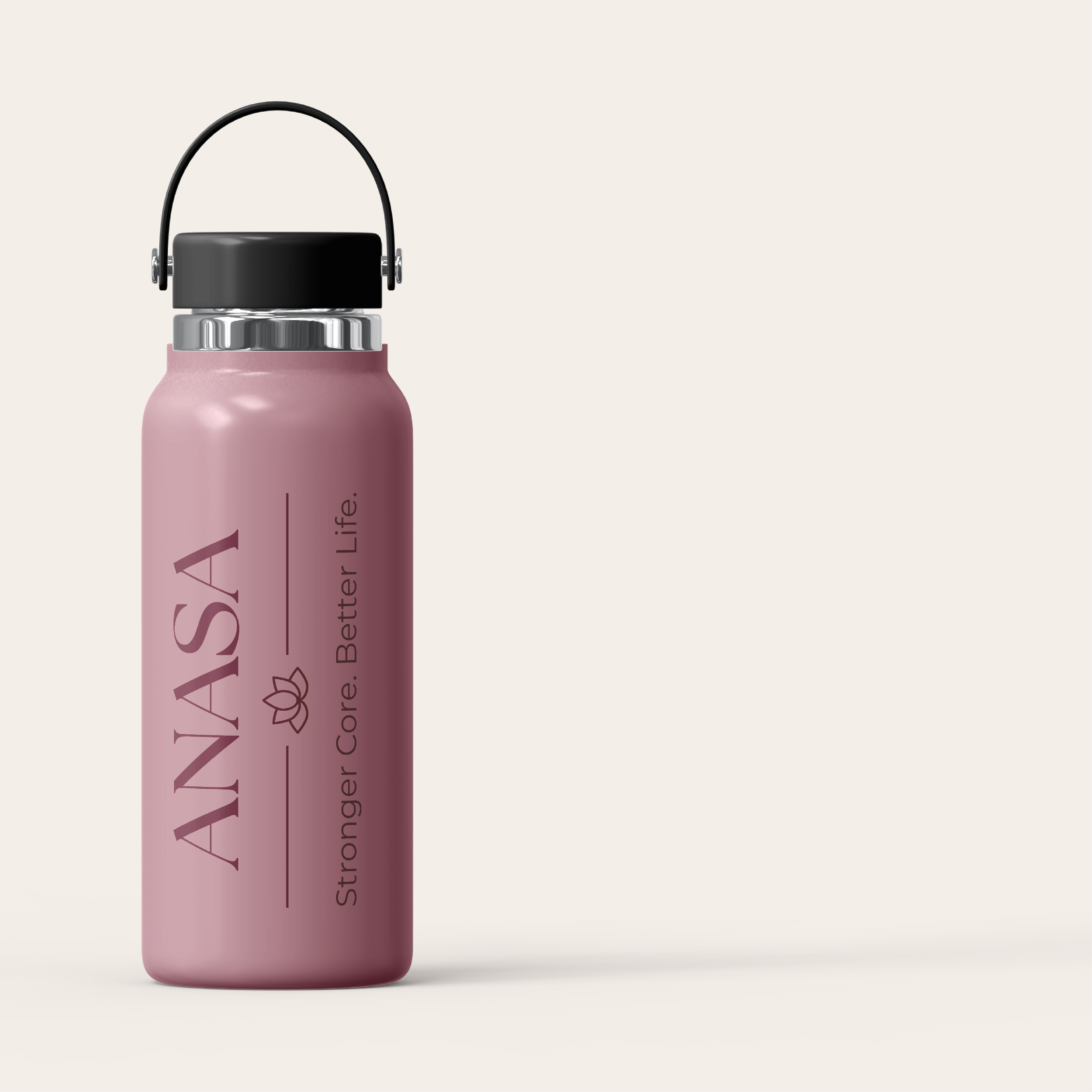 online portfolio projects_anasa-33.png