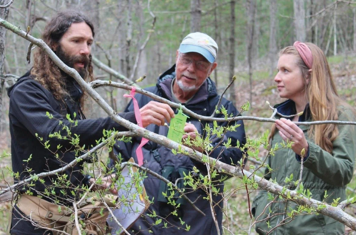 Three people examining a small tree in a forest during daytime, with one person holding a green tag attached to the tree, as they discuss nature or plant identification.