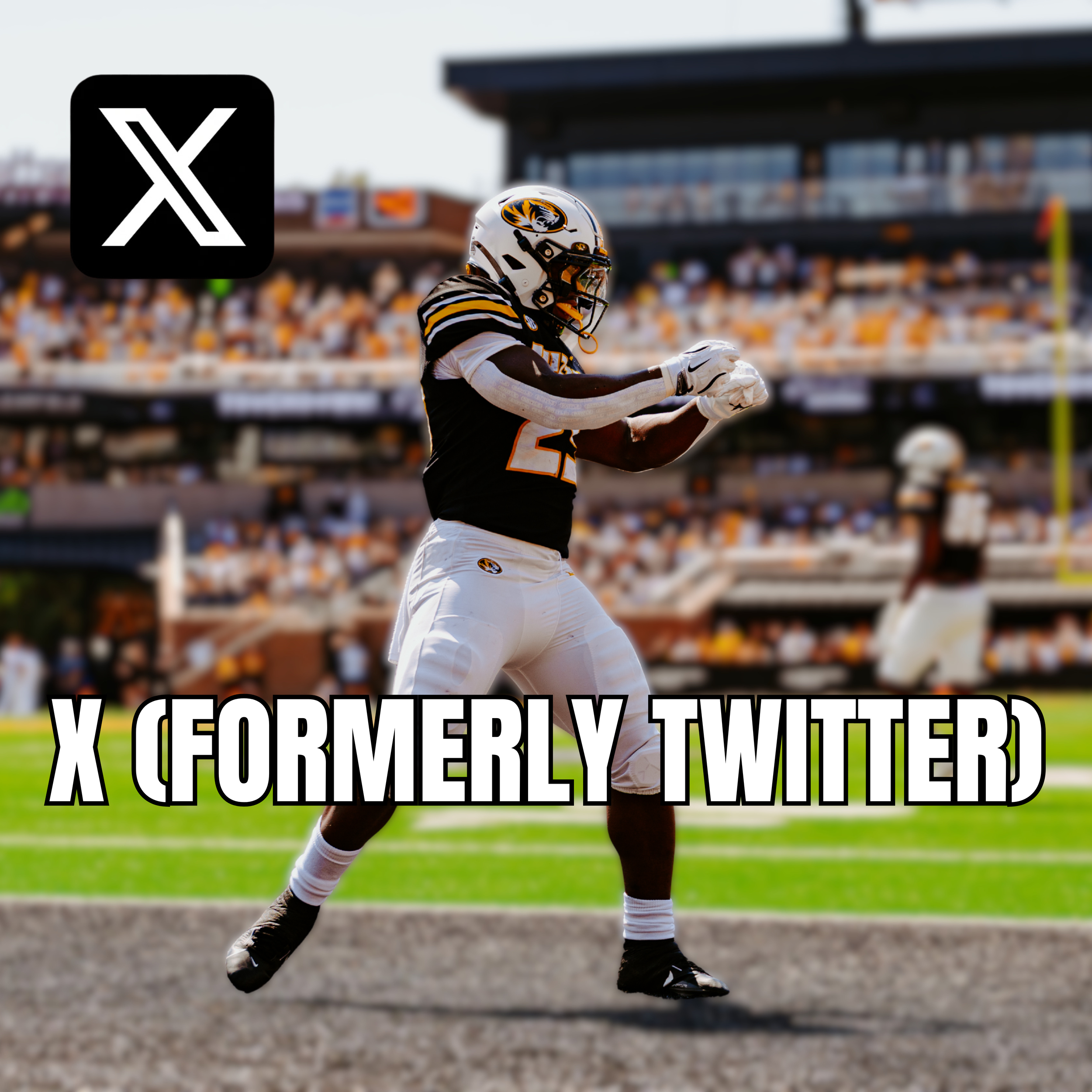 X (Formerly Twitter)
