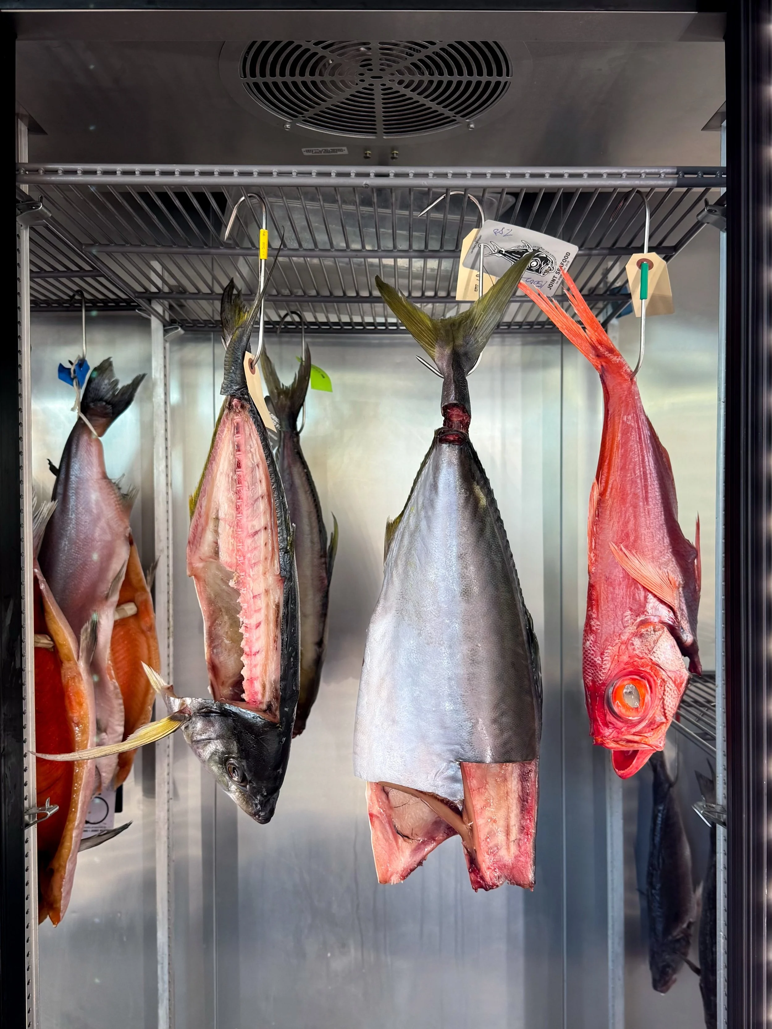 What we&rsquo;re hooked on this week: 

DRY AGED MADAI / SEA BREAM - delicately sweet with a subtle umami finish; enjoy it raw or grilled/roasted 

@uoichiba.la take out hand roll set; perfect for Hollywood Bowl &amp; picnic season 

DRY AGED STEELHE