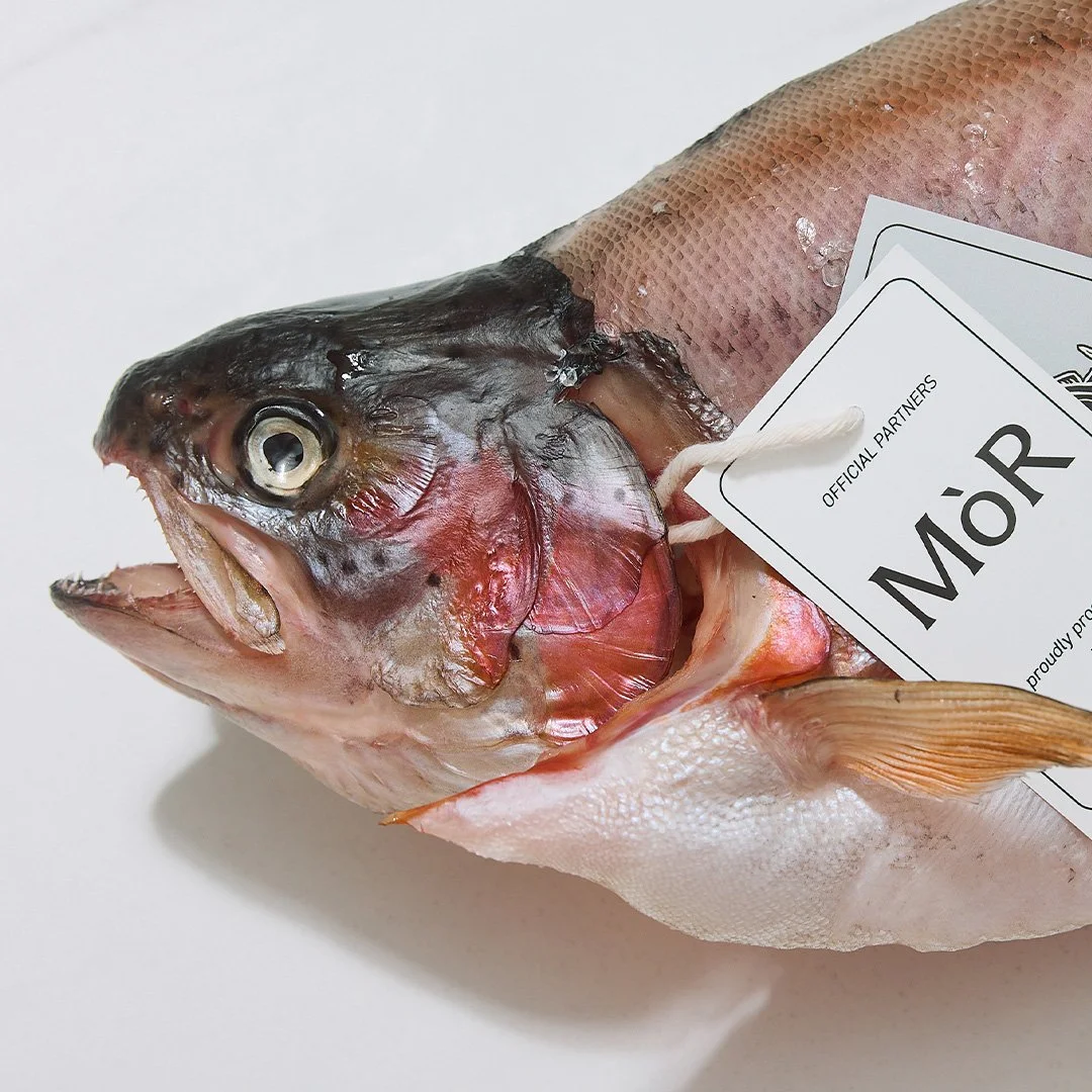 JS_Provisions_Dry-Aged-Steelhead_Head_4943_1080x1080.jpg