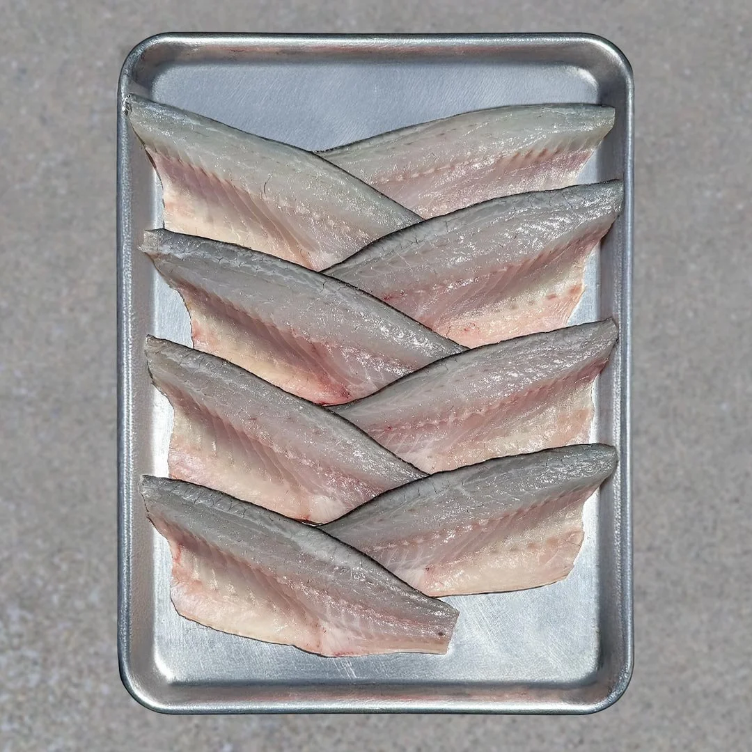 DRY AGED BRANZINO