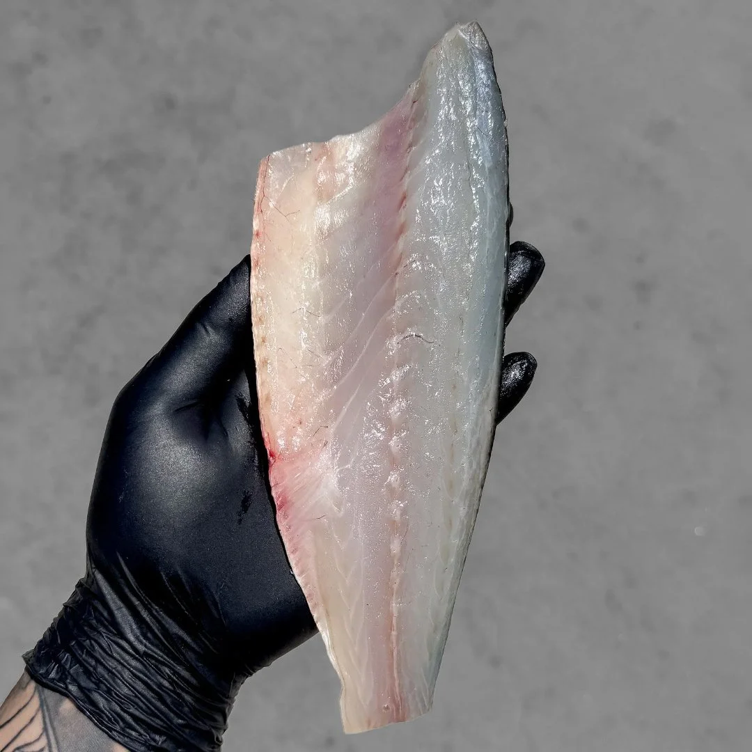 JS_Website_Shop_Branzino_3.jpg