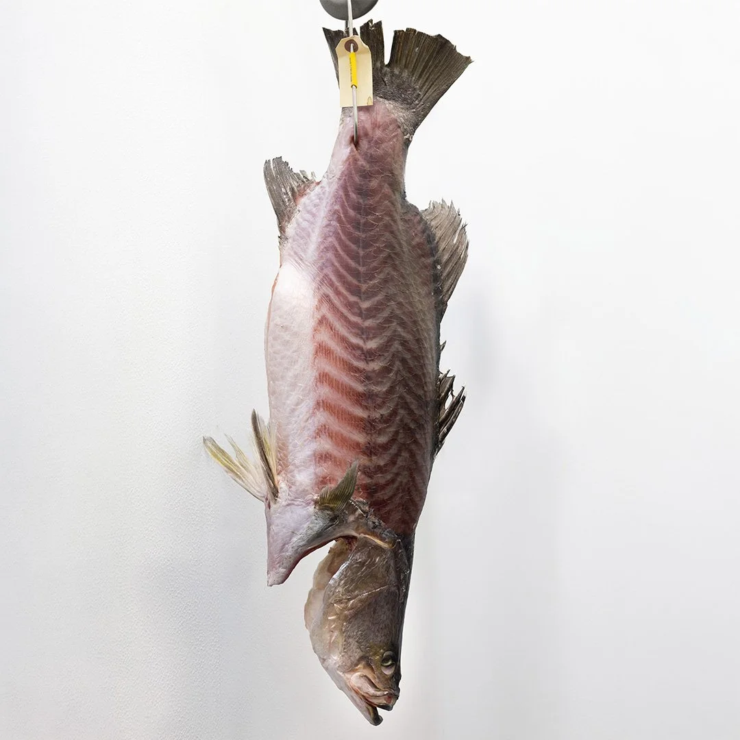 JS_Provisions_Dry-Aged-Barramundi_Whole-Fish_IMG_1779_1080x1080.jpg
