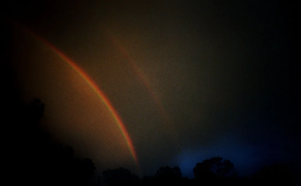Skies