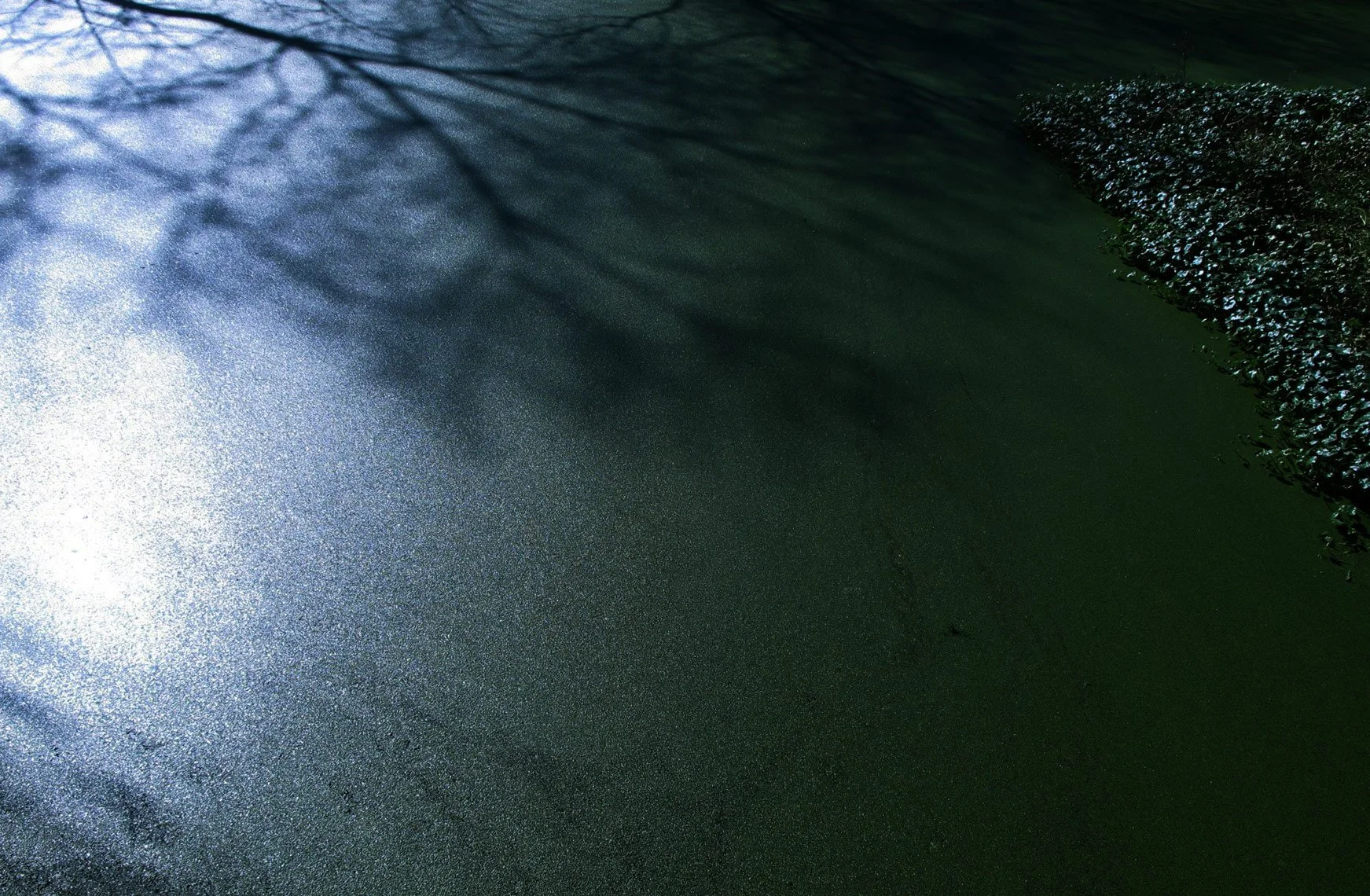 water-and-ivy-2.jpg