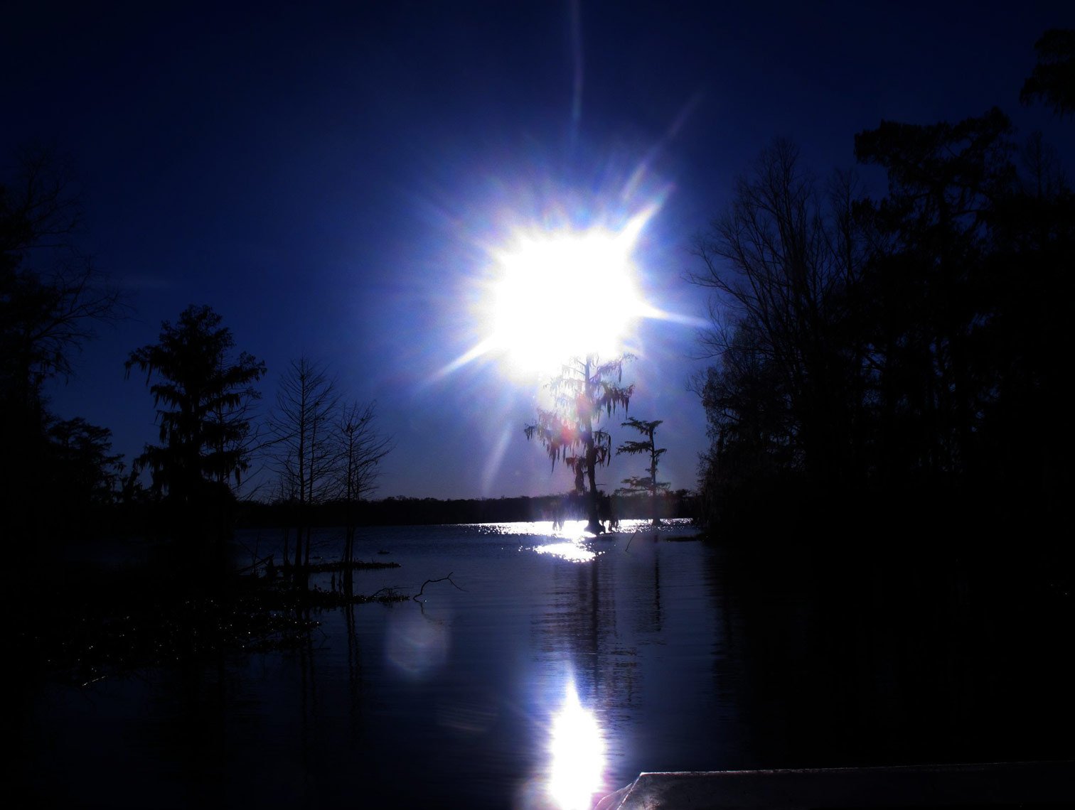 Blue-Swamp.jpg