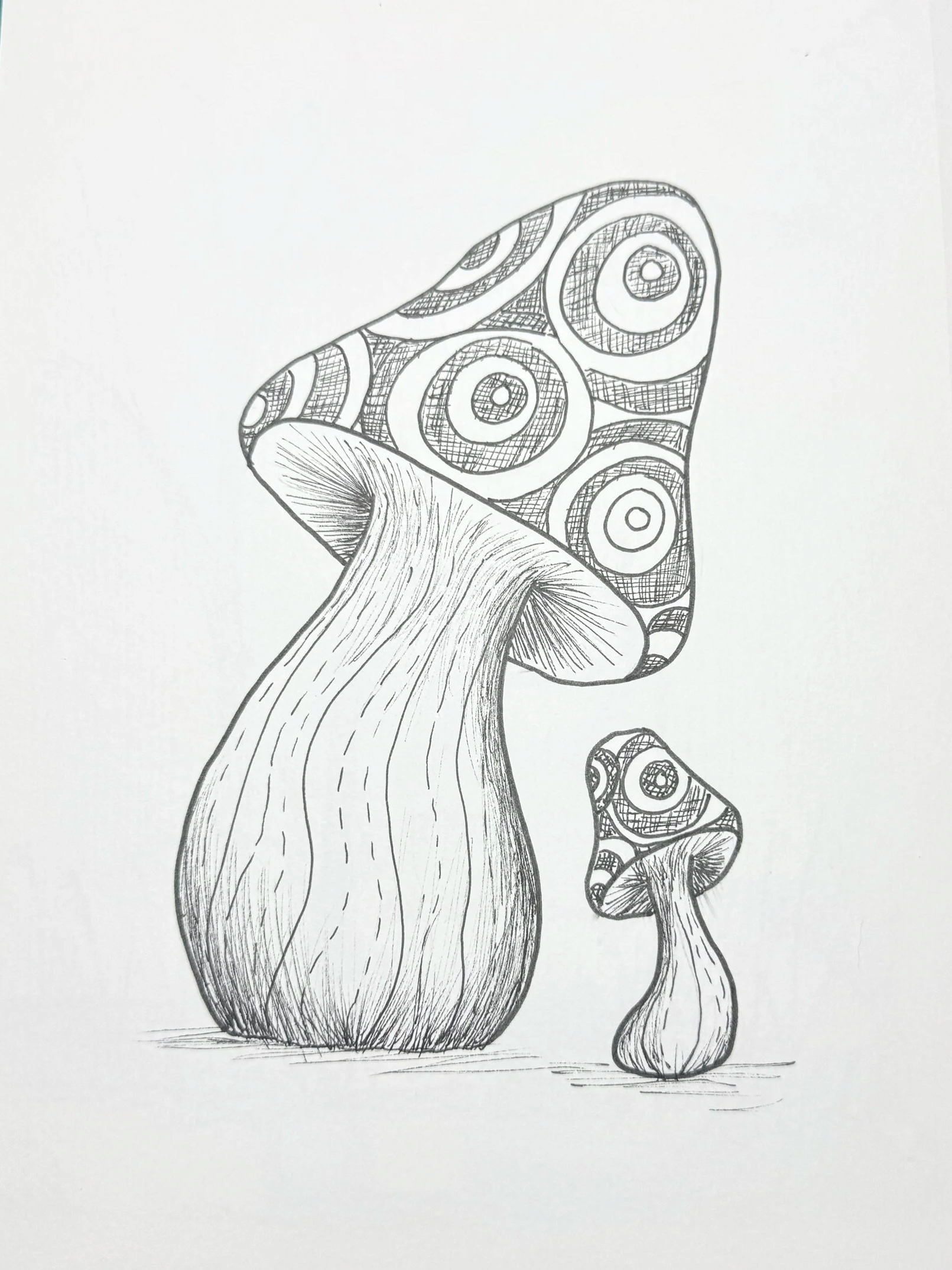 IMG_4447+2.png