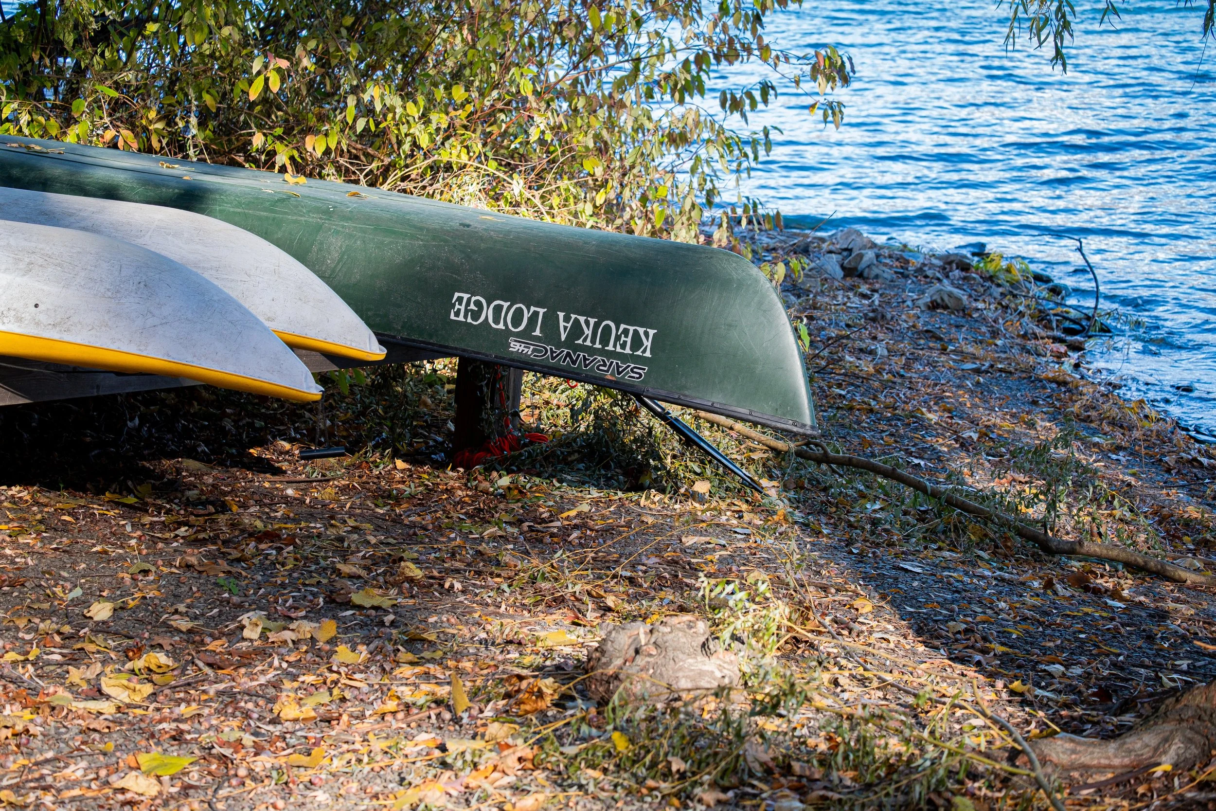 Three canoes upside down on a leaf-covered shore by water, with trees and shrubs nearby.