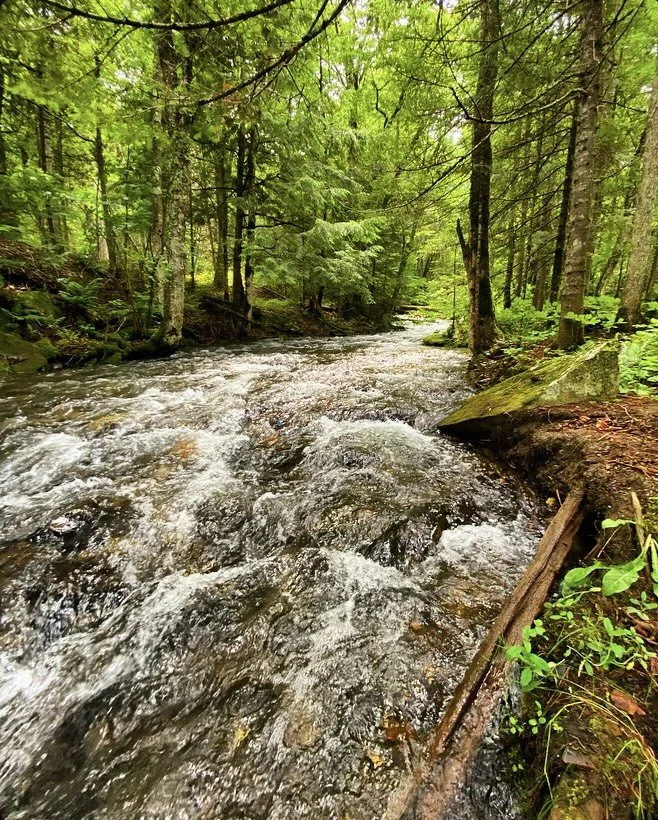 Sit beside the creek and let the sound of the water do the rest.