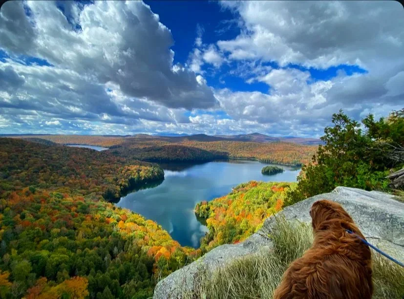 Color, as far as the eye can carry.