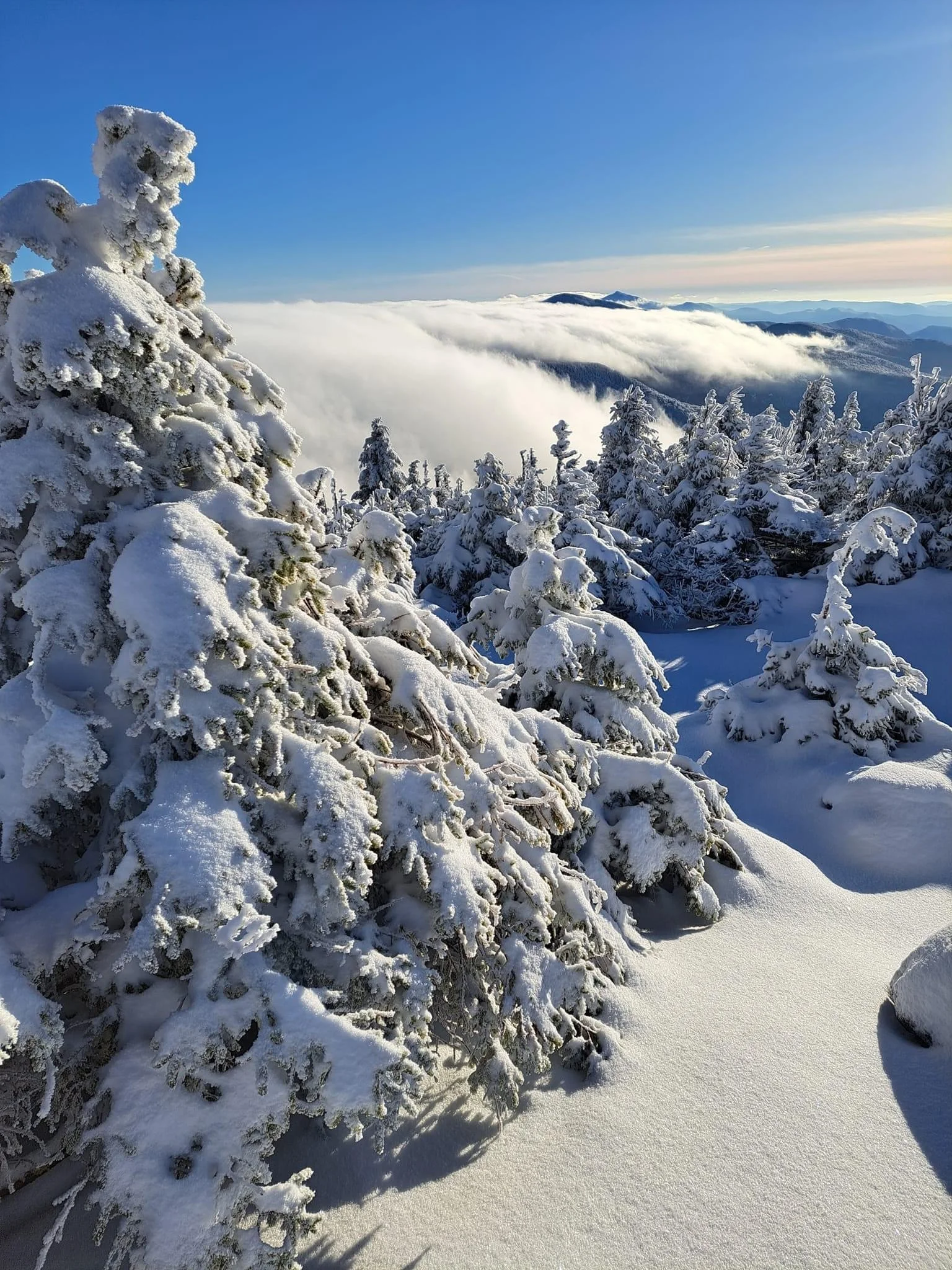 Above the clouds, and far from everything else.