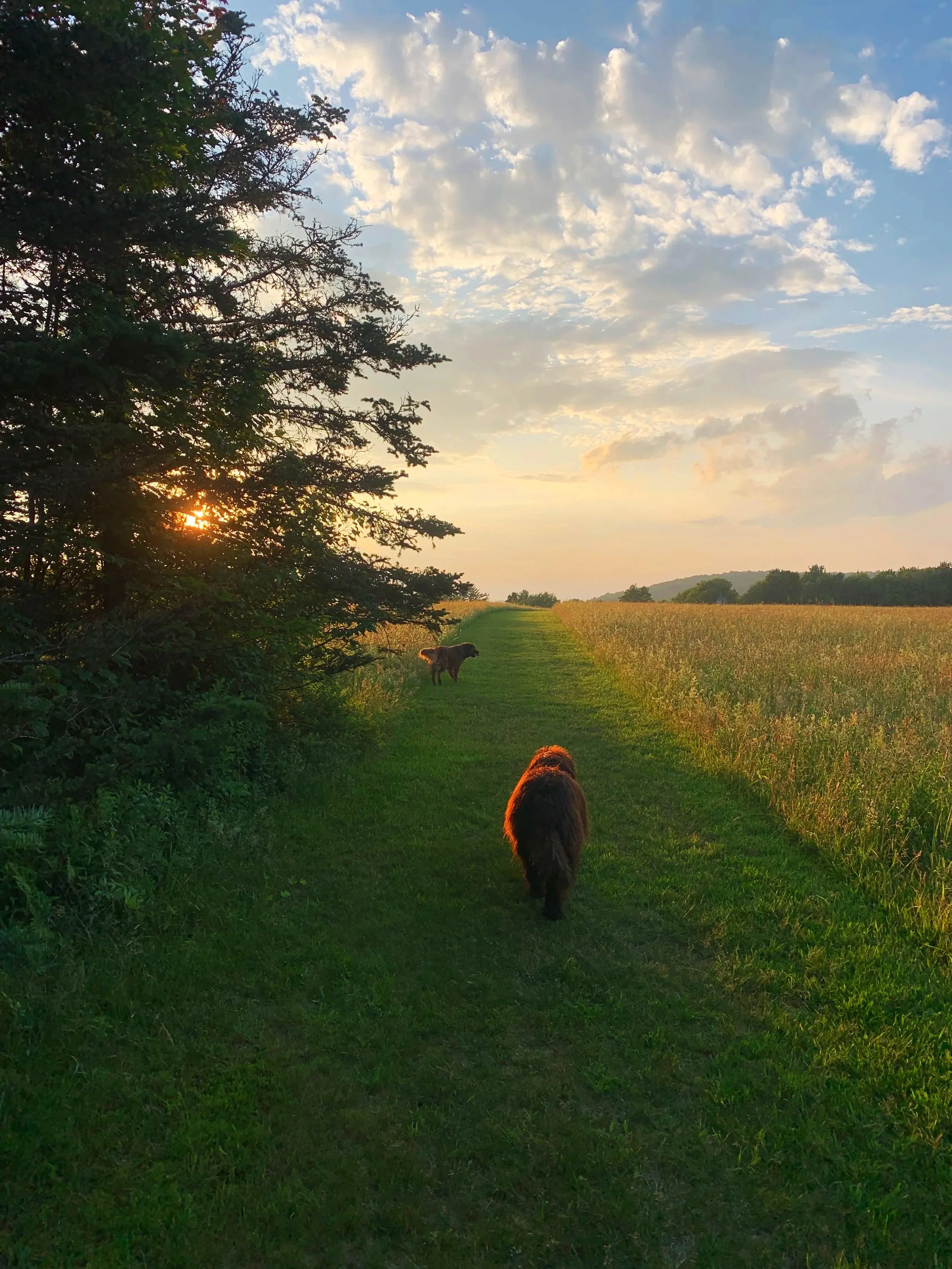 Where the day ends gently.