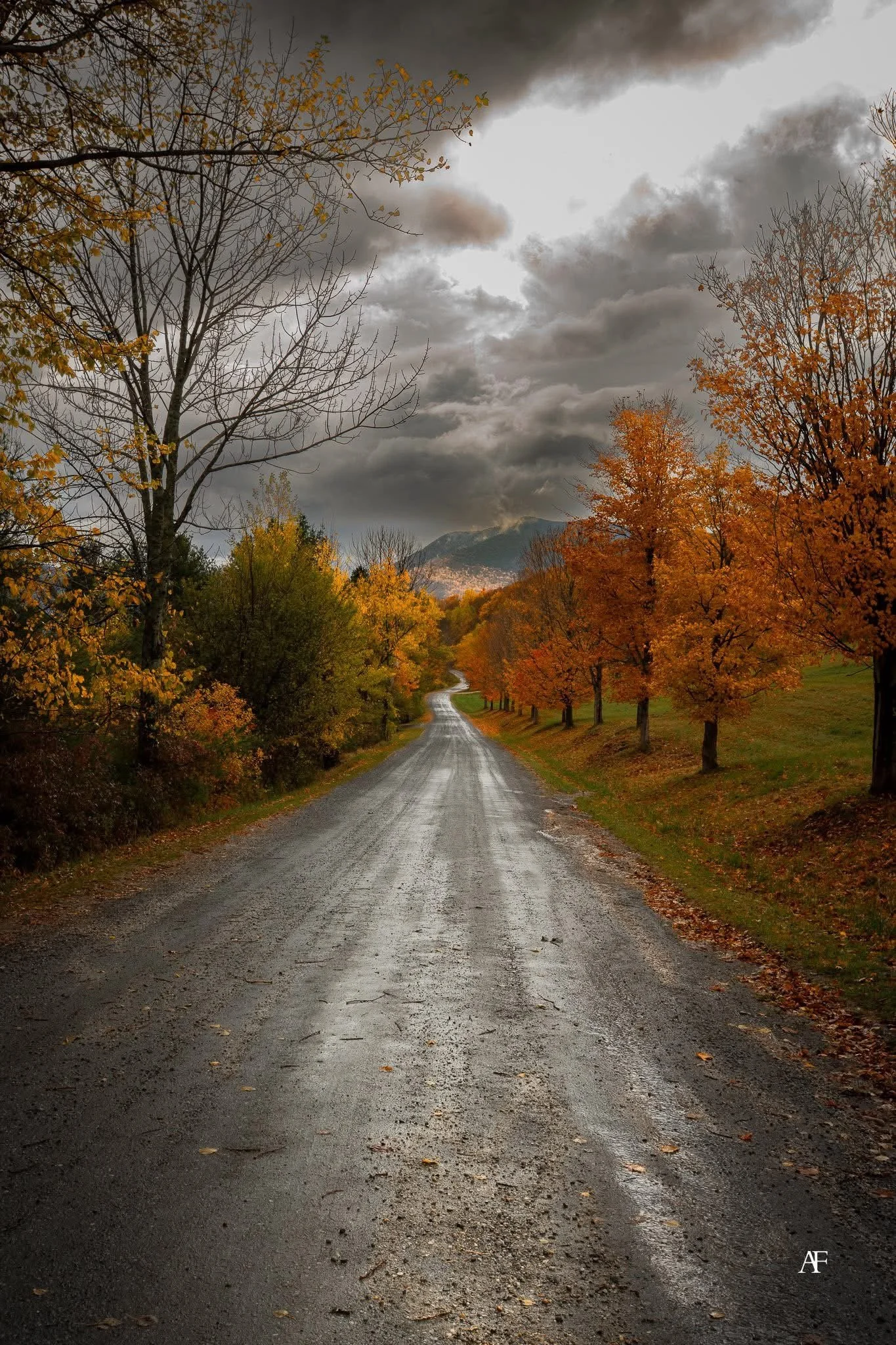 The kind of road you follow without question.
