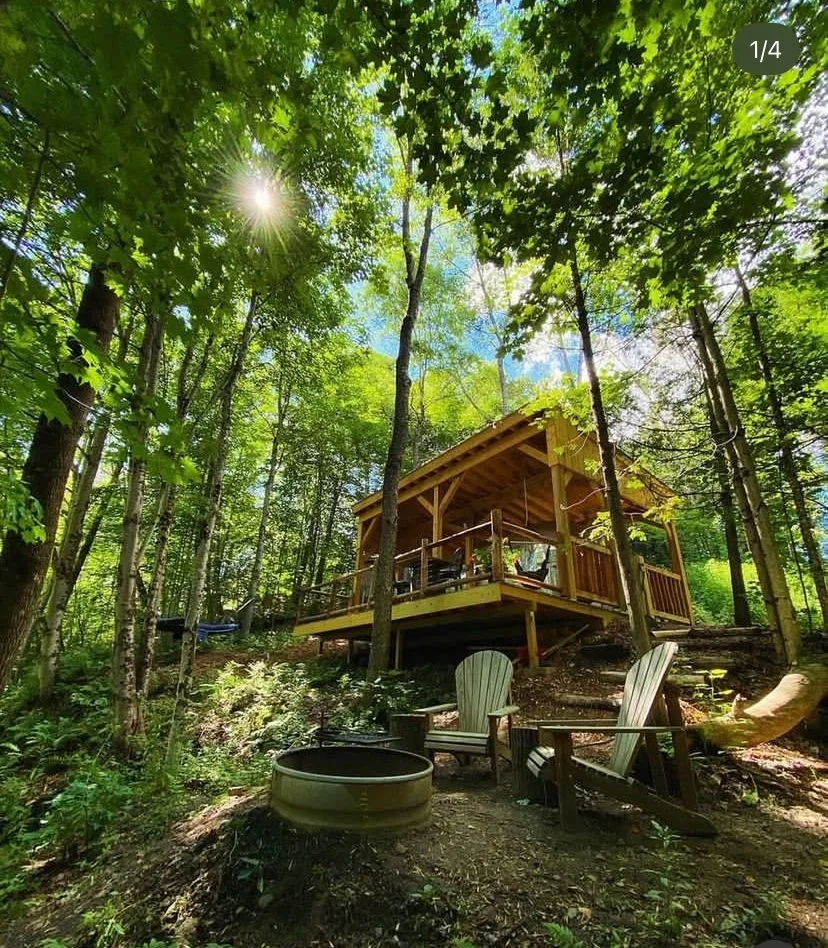 A quieter corner of the forest.