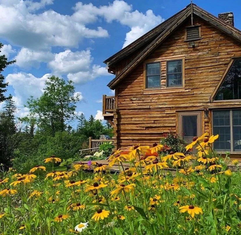 Sunlight moves through the wildflowers behind the cabin.