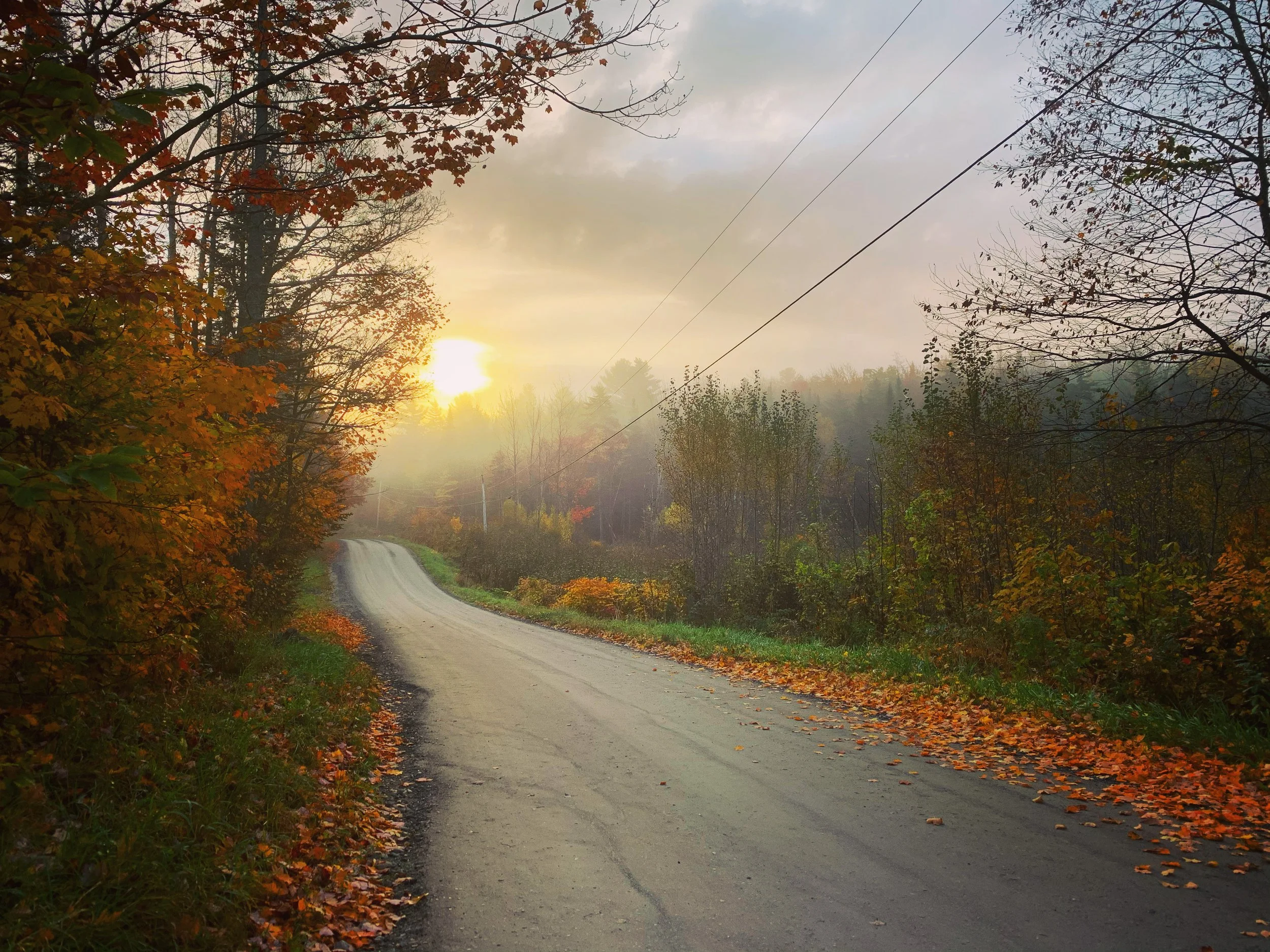 The first light, and the road all to yourself.
