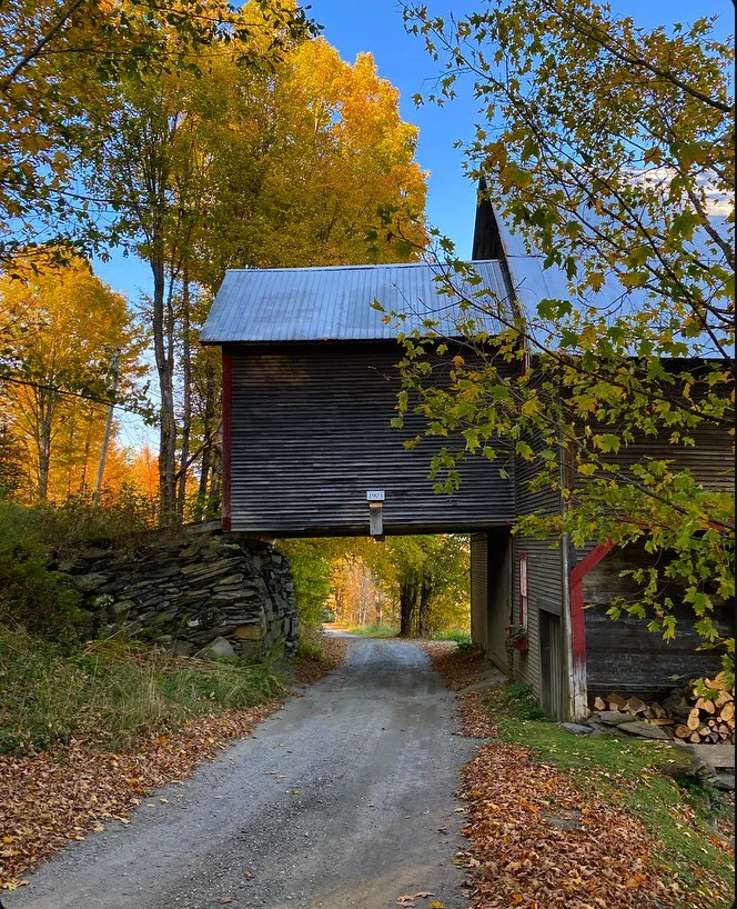 The barn above, the road below, and fall all around.
