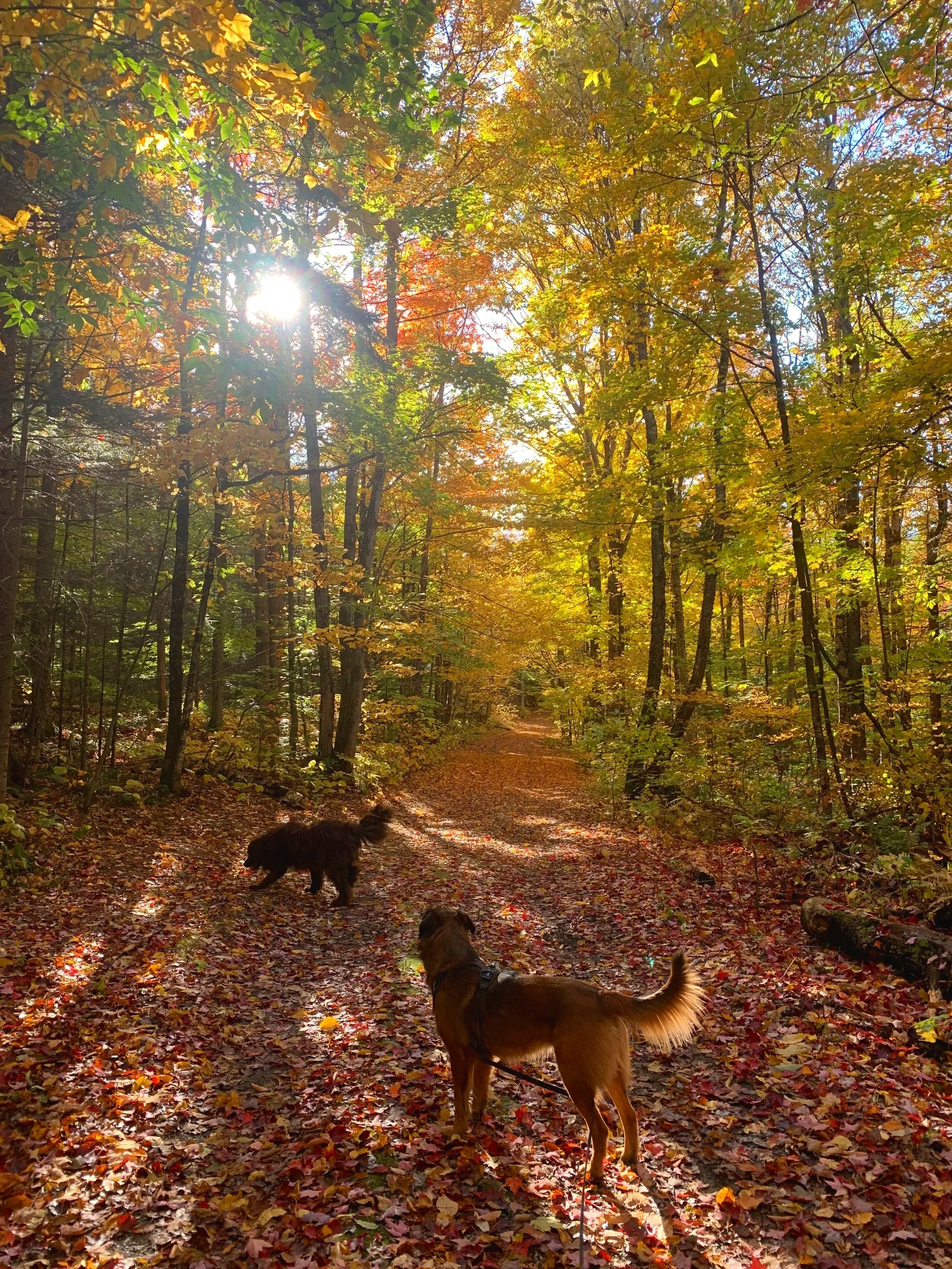 The kind of day made for wandering.