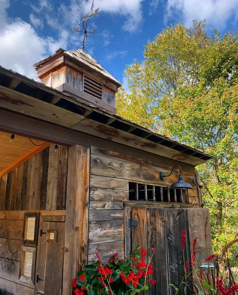 The wood shed in summer.
