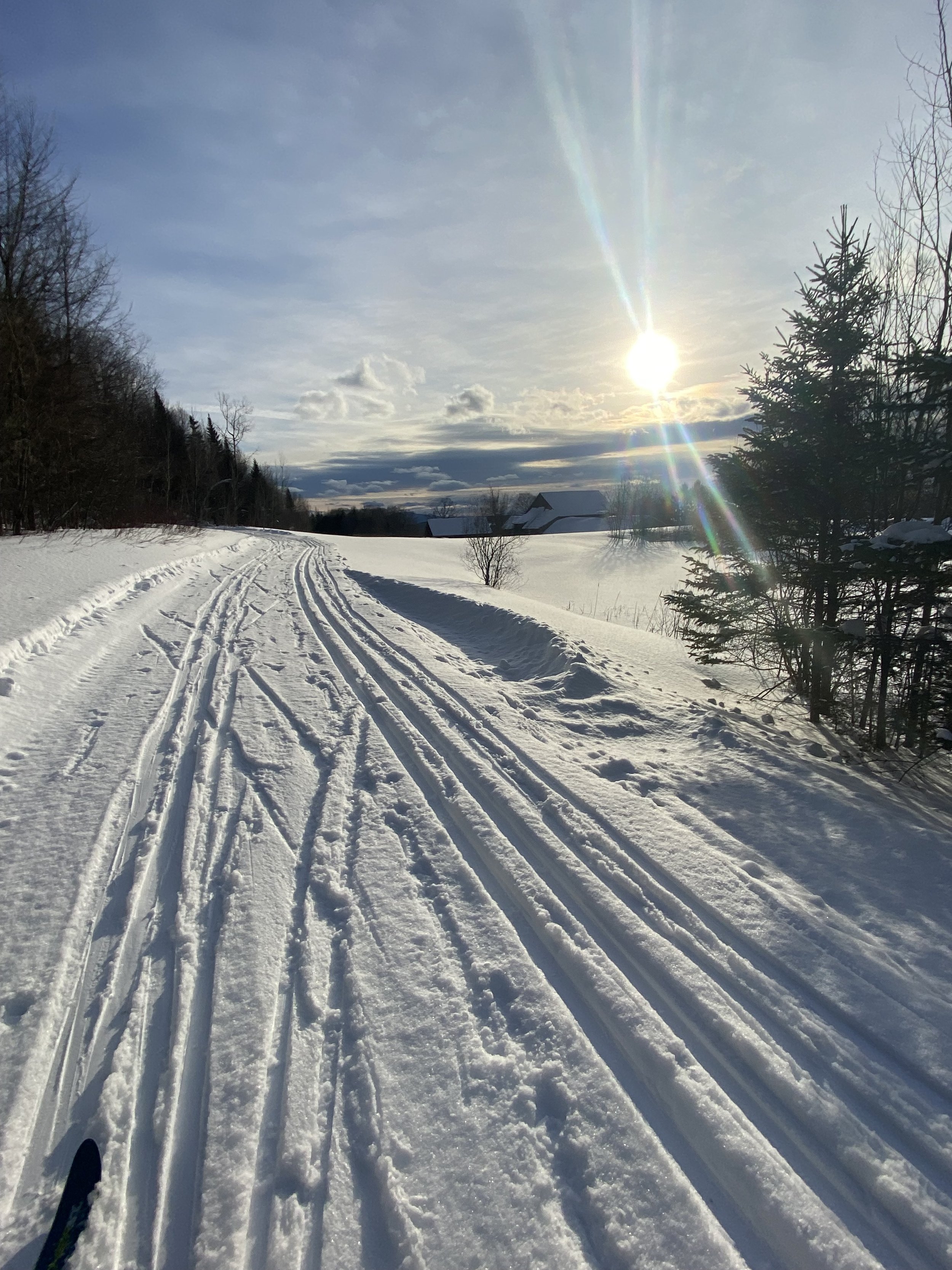 Snow-covered landscape with cross country ski tracks, trees on the sides, a small house in the distance, and a bright sun in the sky with some clouds. Quintessential winter landscape in snowy Vermont.