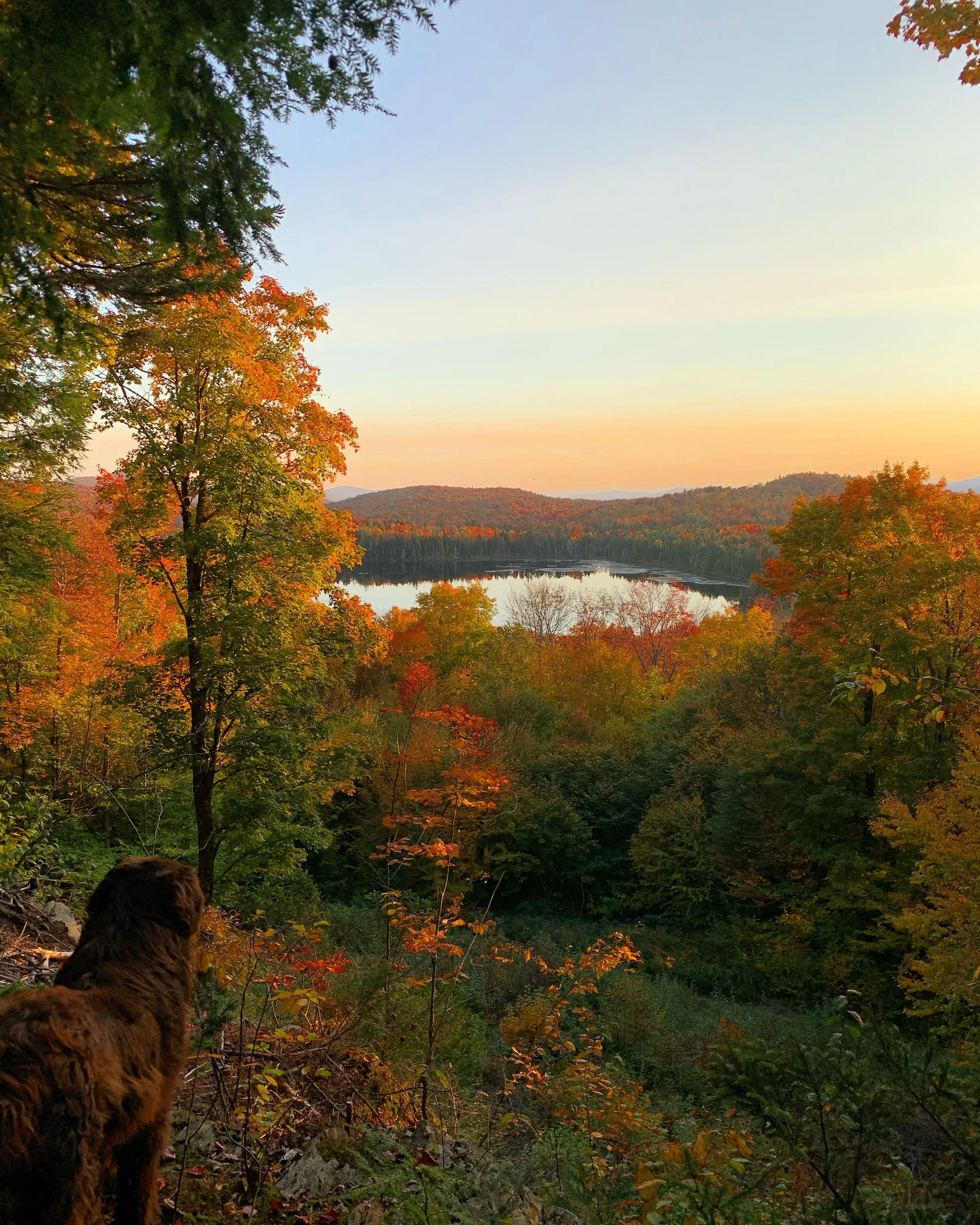 A view like this makes it easy to slow down and take in everything fall has to offer.