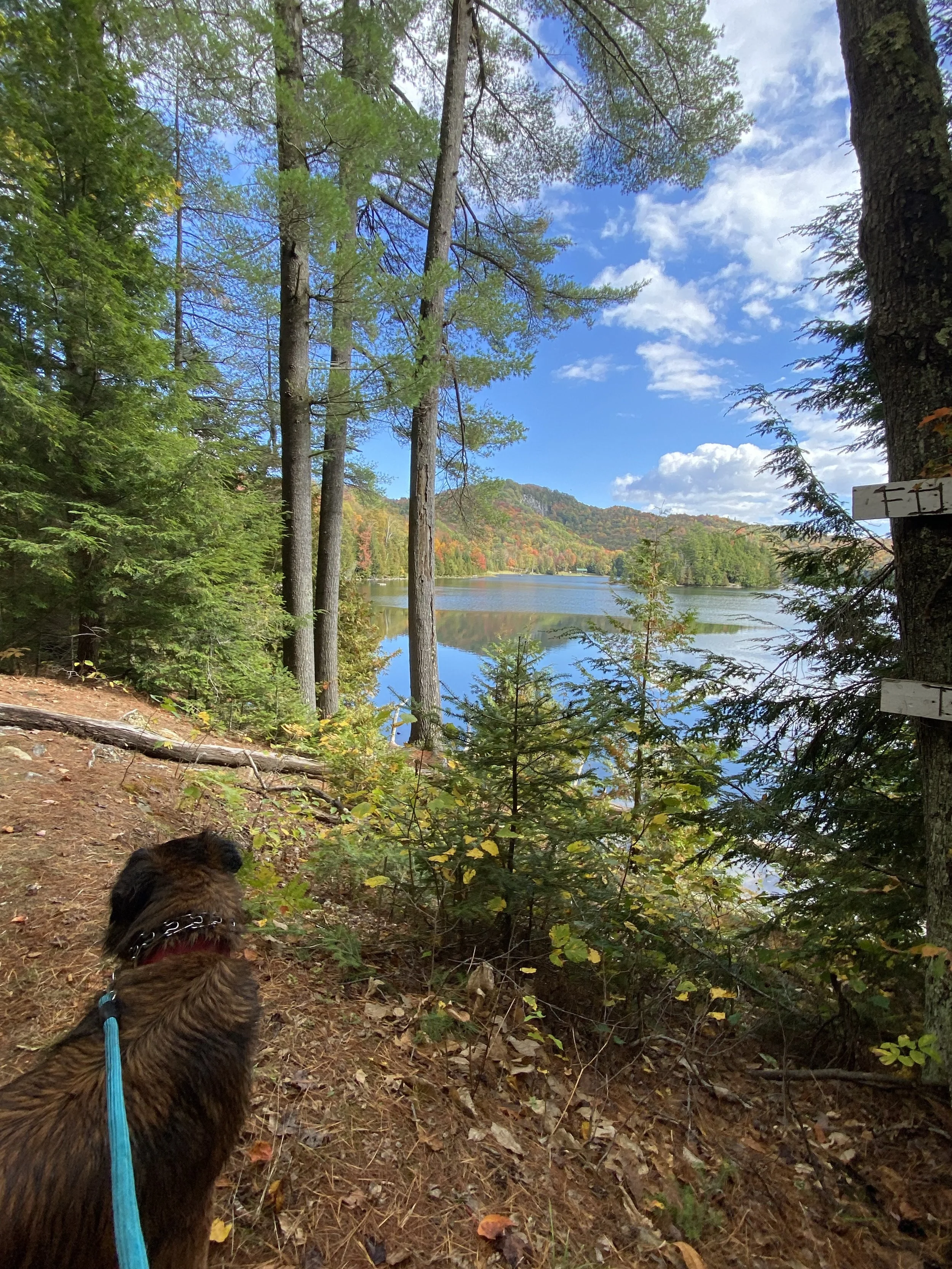 The season glowing, and a companion to share it with.