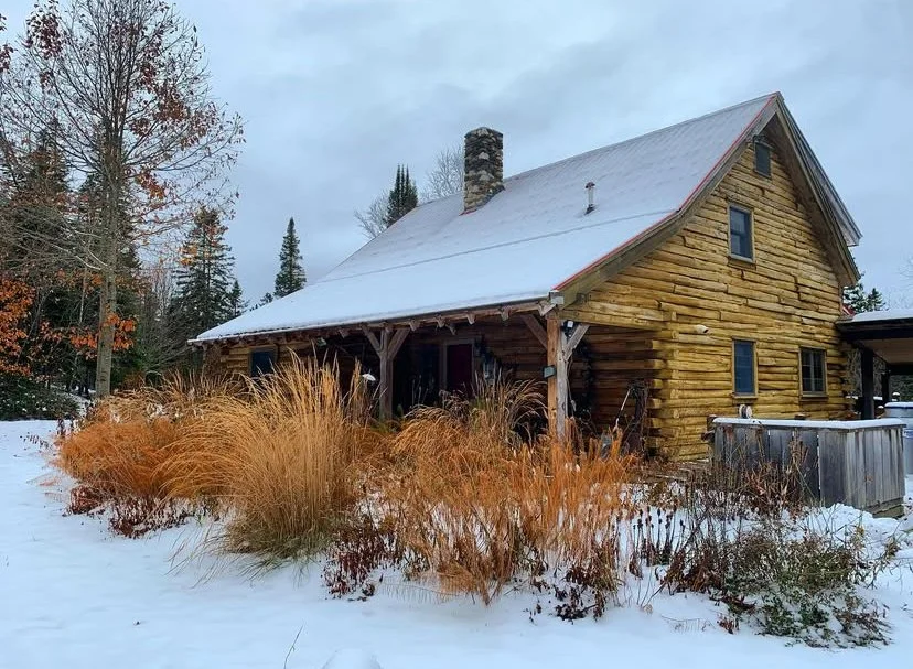The first real snow settles in, but the fall gardens aren’t quite ready to let go.