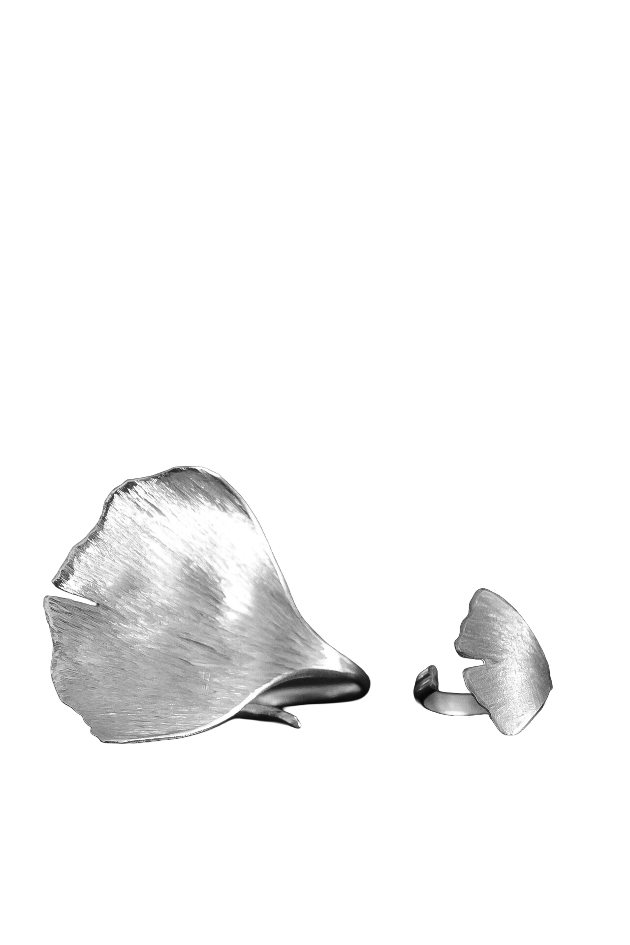 image00031.png