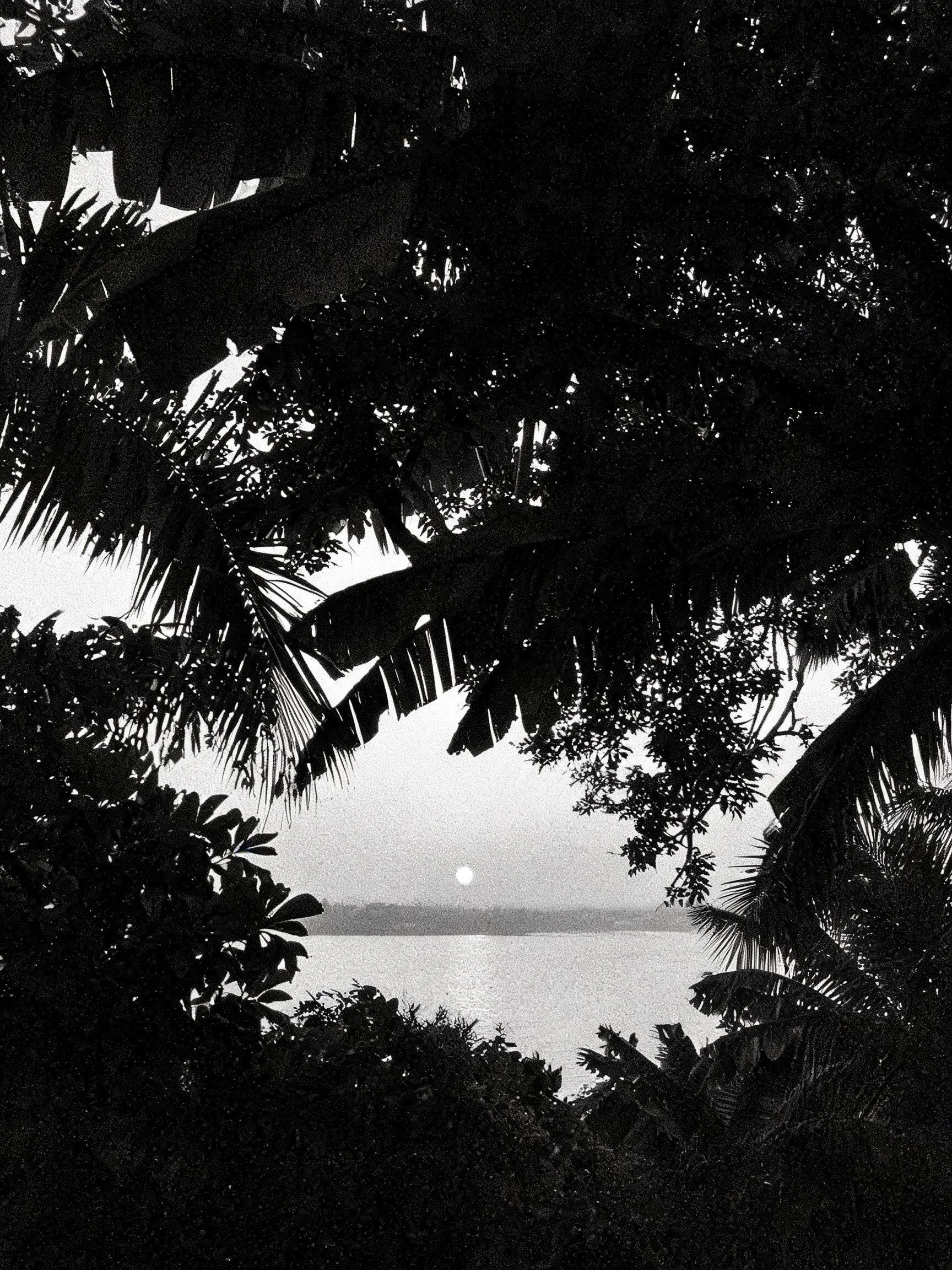 BoraBora_3903.jpg