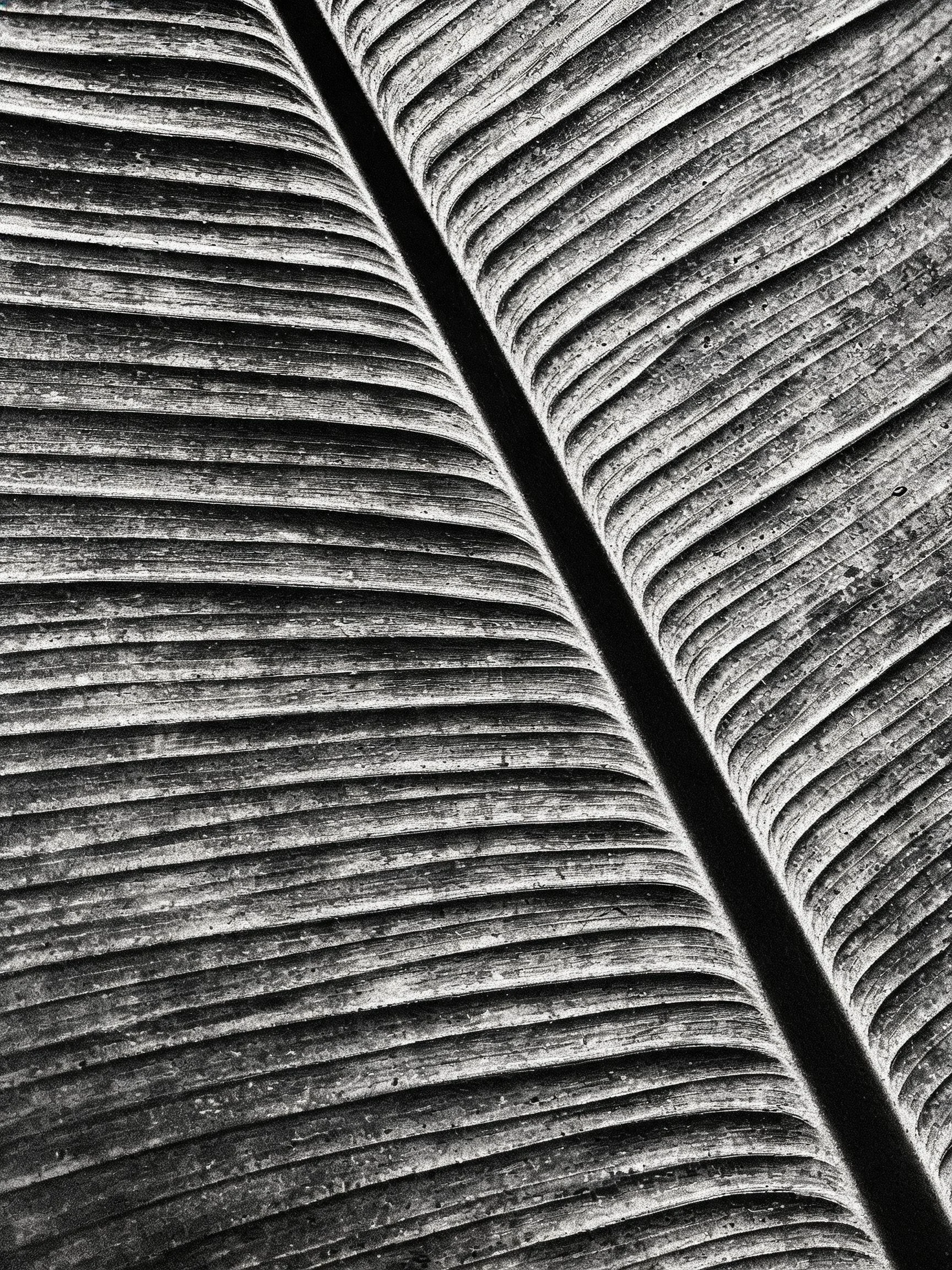 BoraBora_3881.jpg