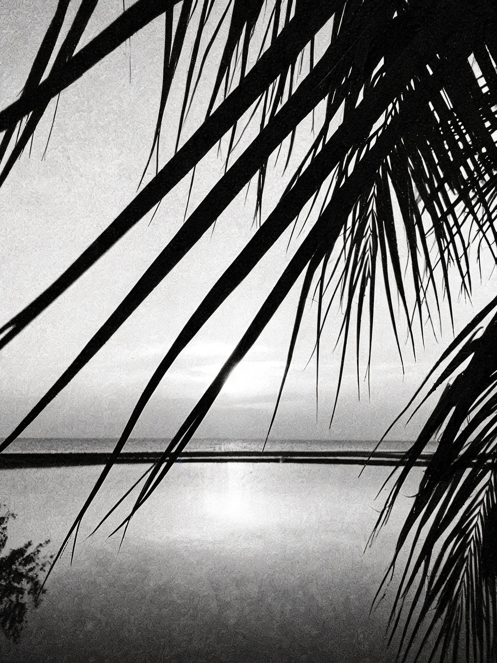 BoraBora_3899.jpg