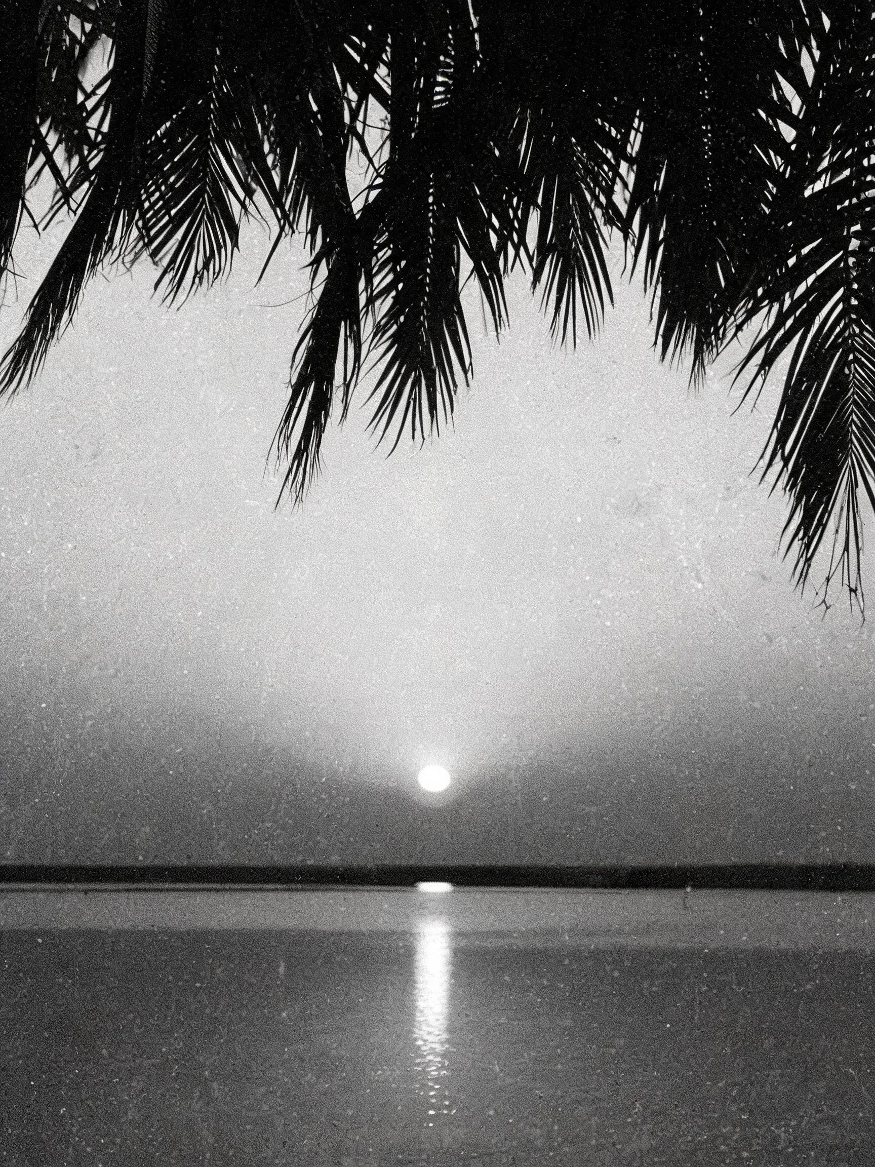 BoraBora_3900.jpg