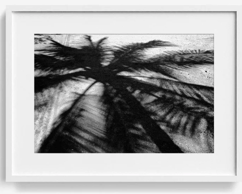 Screenshot 2026-04-22 at 4.27.48 AM.png