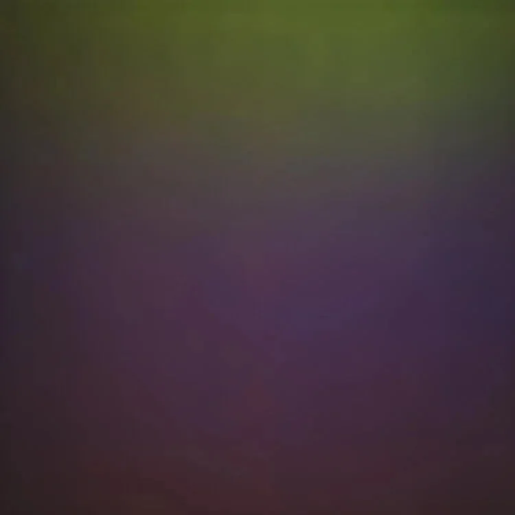 3.jpeg