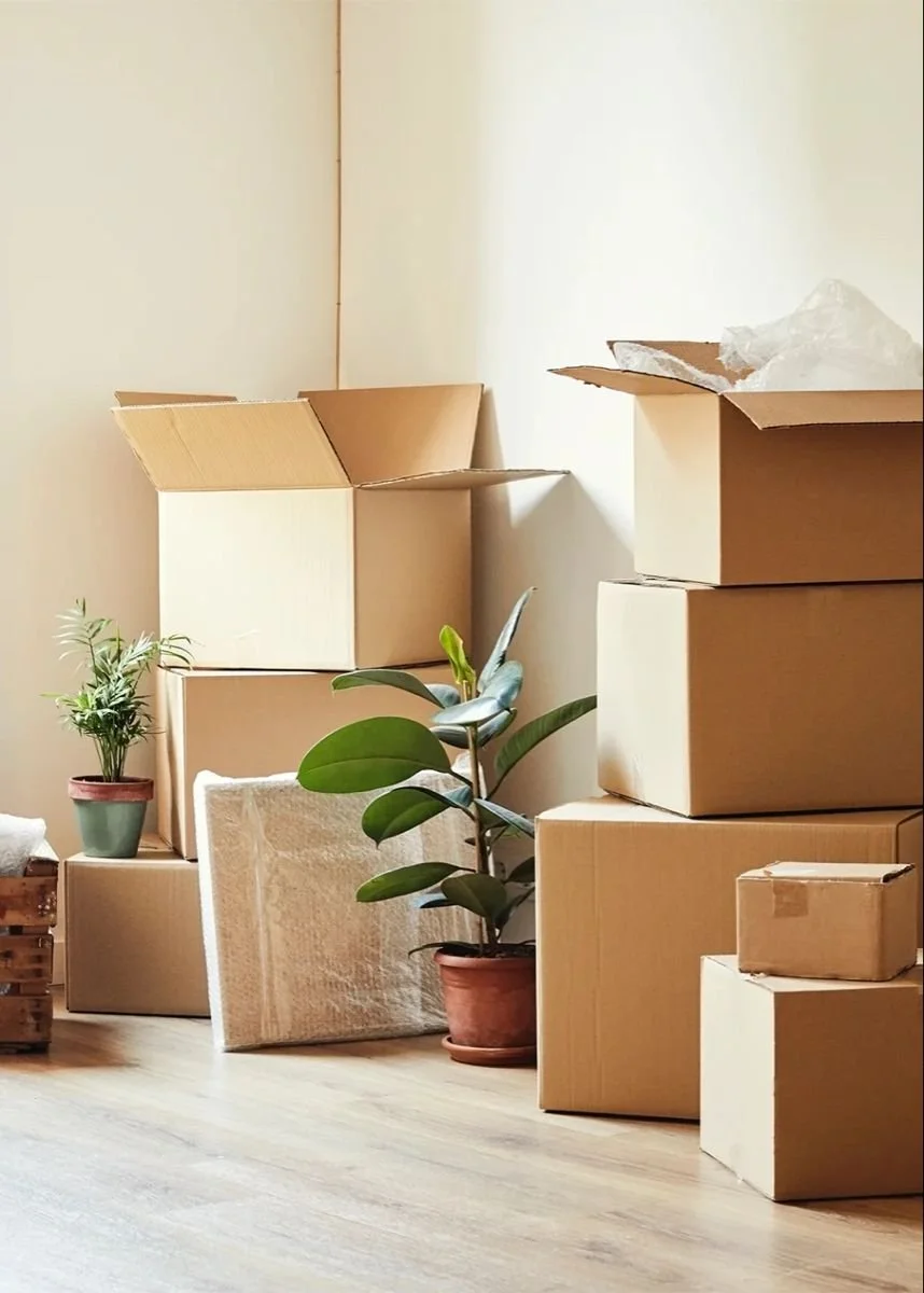 Move-in/Move-out Cleaning