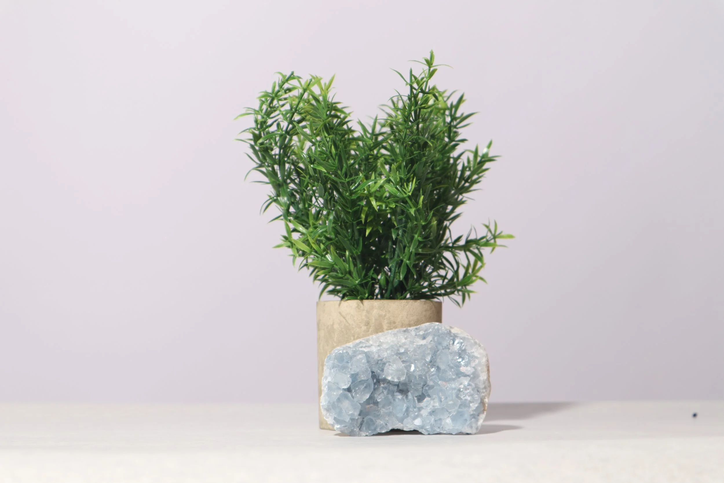 A green potted plant with thin, pointed leaves in a beige pot, placed on a white surface with a grayish-white background, and a clear crystal or stone at the base.