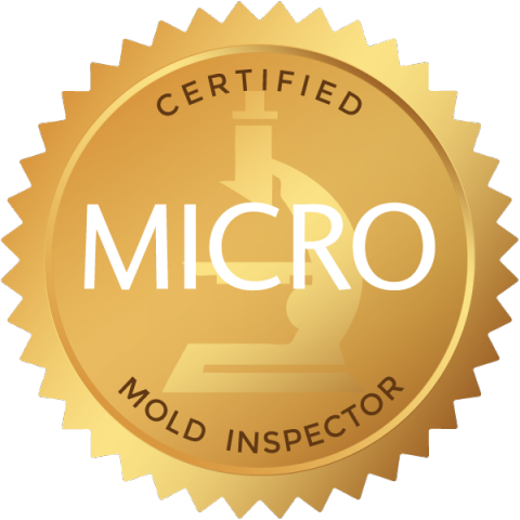 Certified Micro Mold Inspector