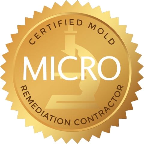 Certified Micro Mold Remediator