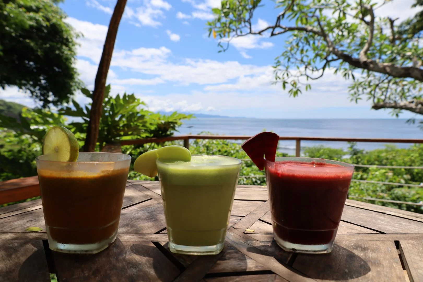 Three colorful smoothies with fruit garnishes on a wooden table outdoors, overlooking the ocean and surrounded by green trees and blue sky.