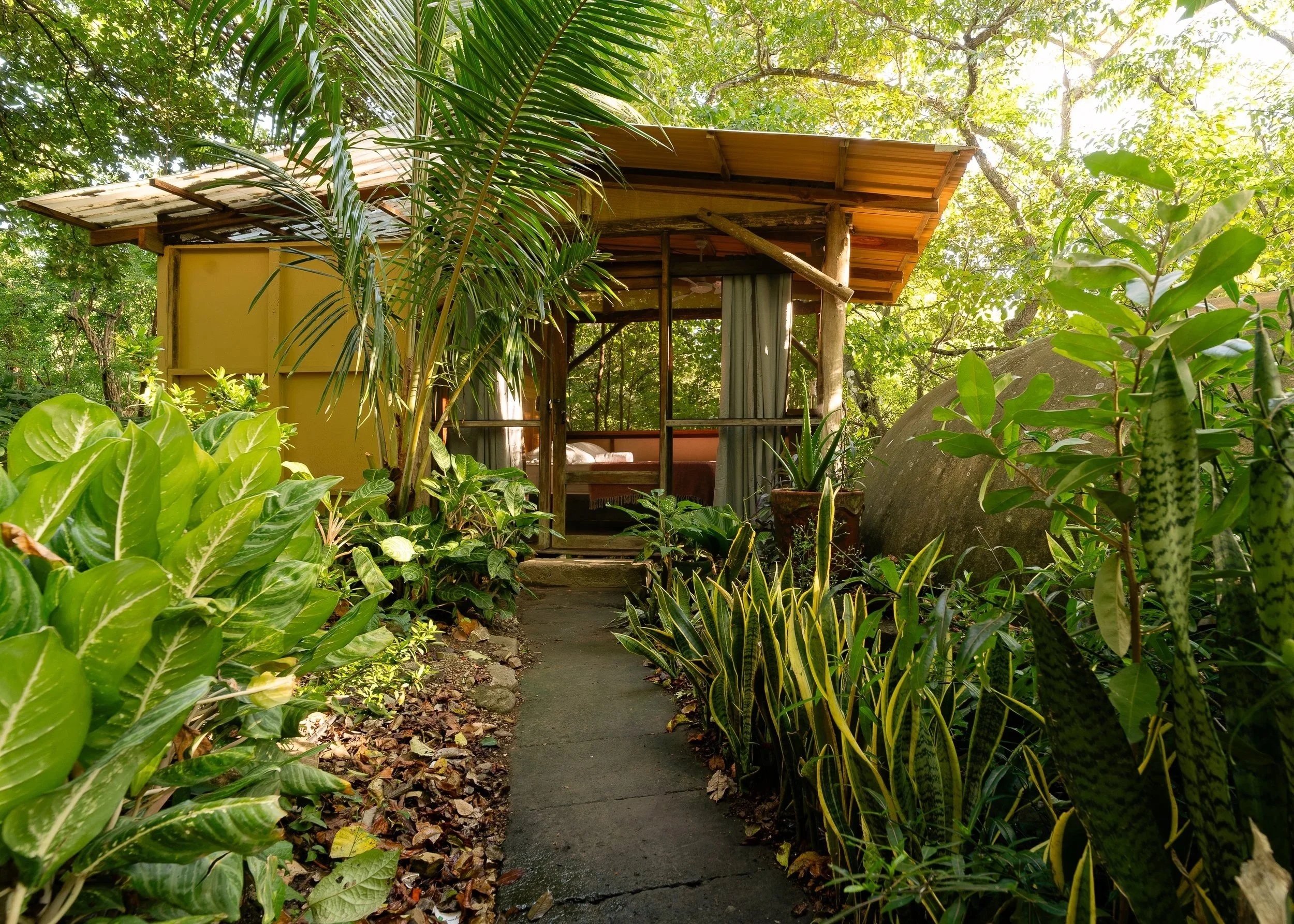 A small rustic house with a roof made of corrugated metal sheets, surrounded by lush green tropical plants and trees, with a narrow concrete pathway leading to its entrance.