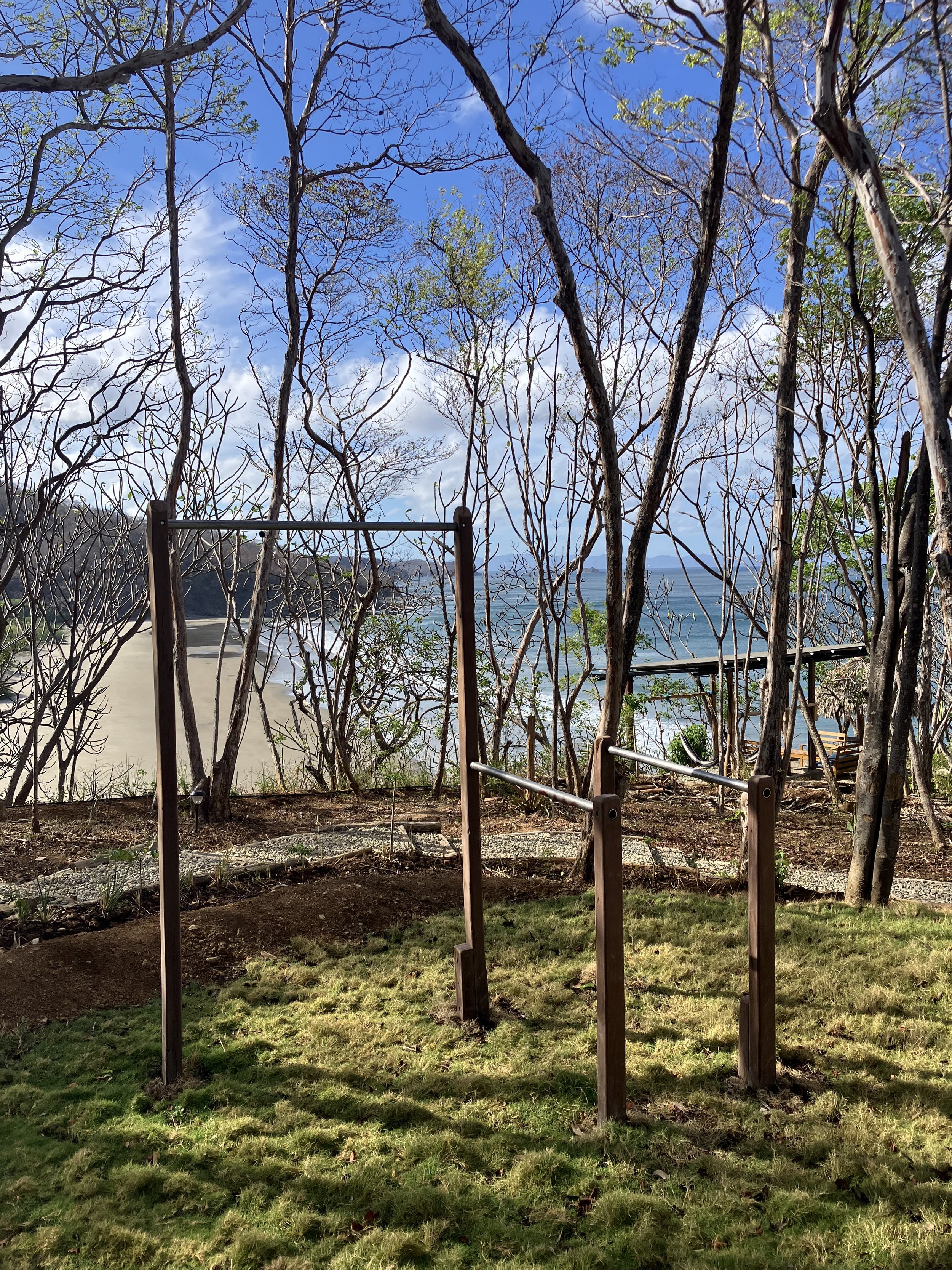 A view of leafless trees with a few green leaves against a partly cloudy blue sky, overlooking a beach and ocean with a sandy shoreline and some chairs in the background.