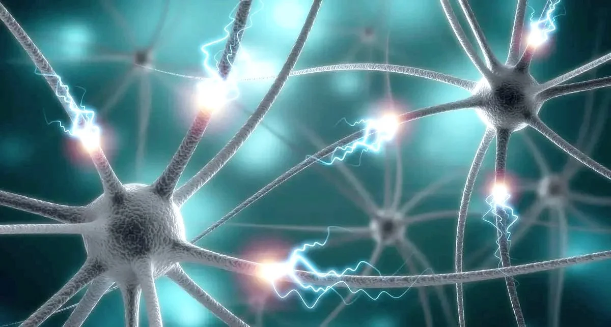 Grafische Darstellung von Nervenzellen mit leuchtenden Synapsen und elektrische Signale.